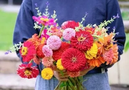 2f4cc5d2-a414-4aed-b1bd-5781de16b197