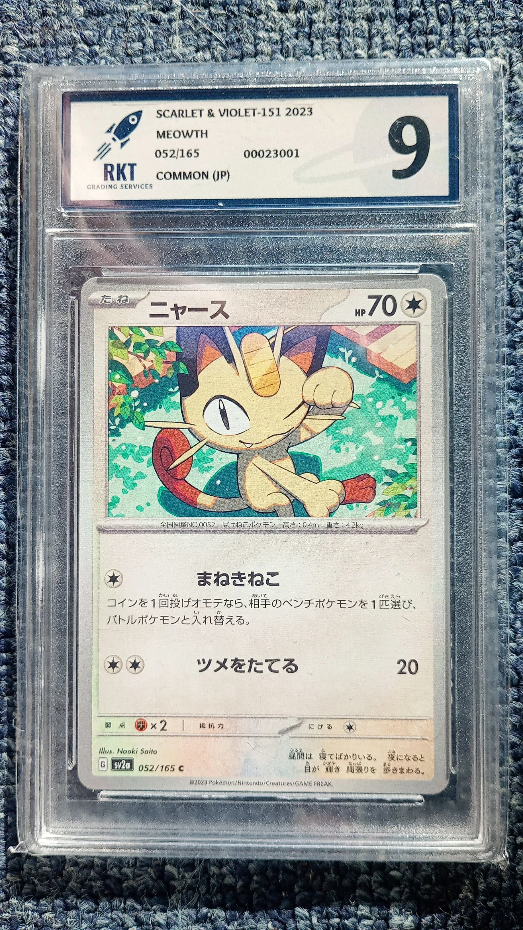 2fd853ea-4cc8-45b2-8767-e2d370ef6003