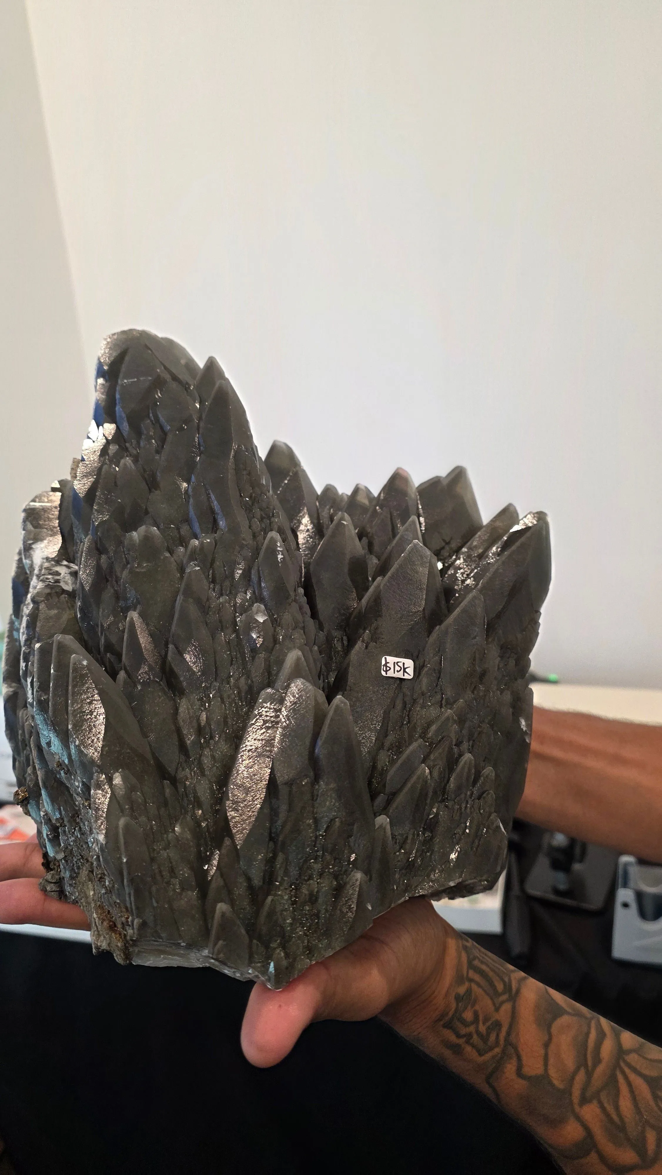 Product image for dragon scale UNIT