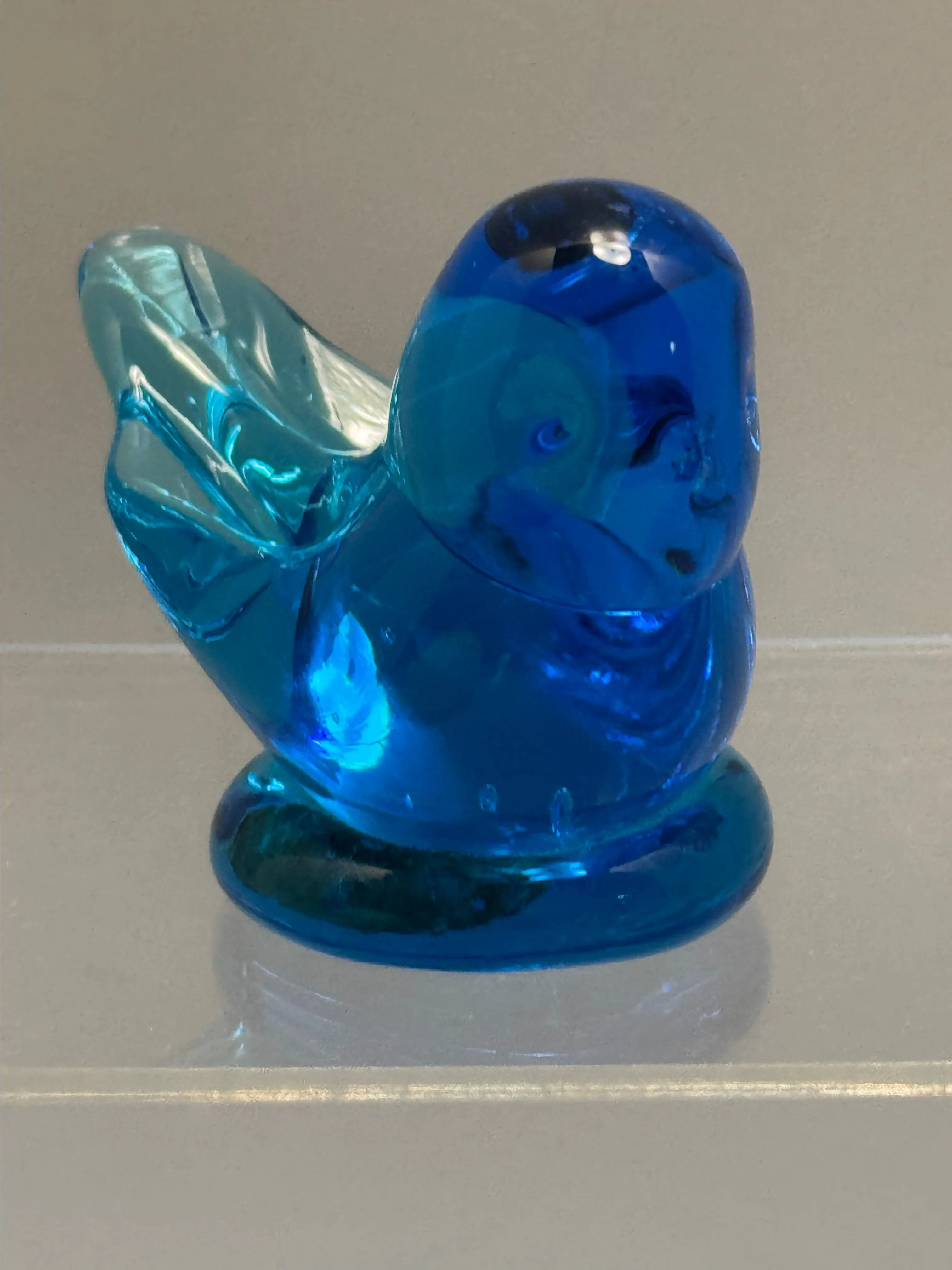 Product image for Blue bird of happiness