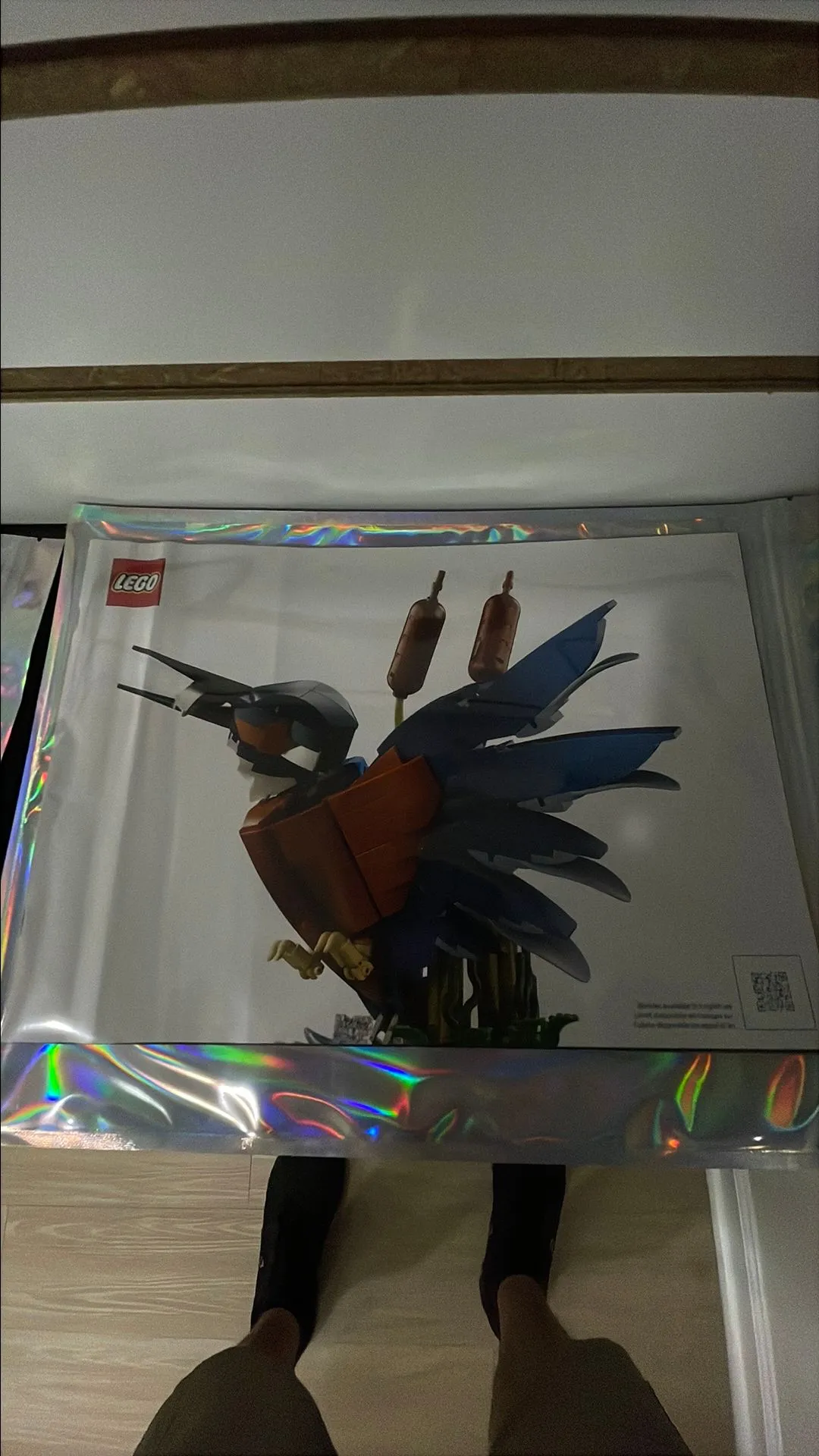 Product image for Kingfisher Bird