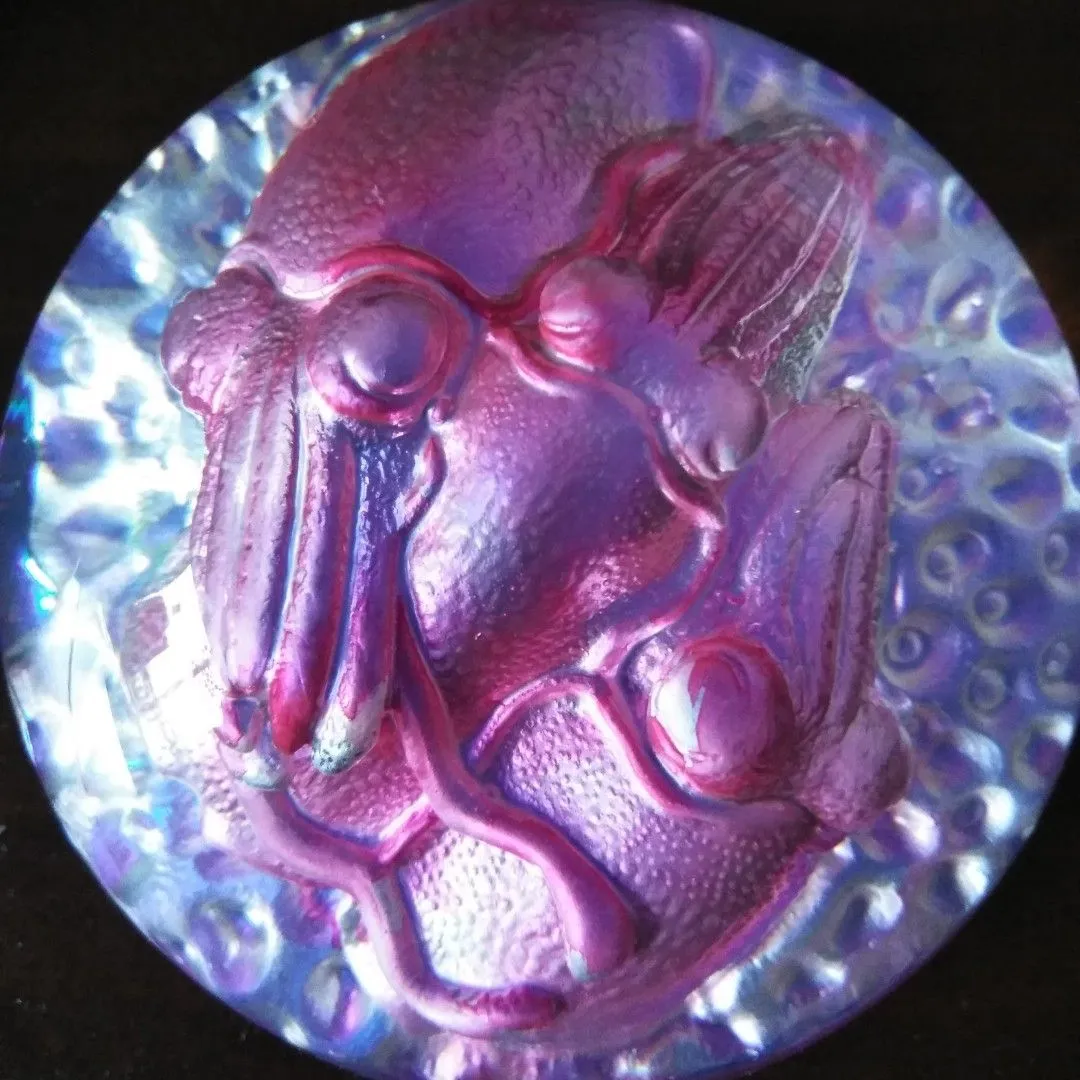 Product image for Unique squid art glass paperweight.