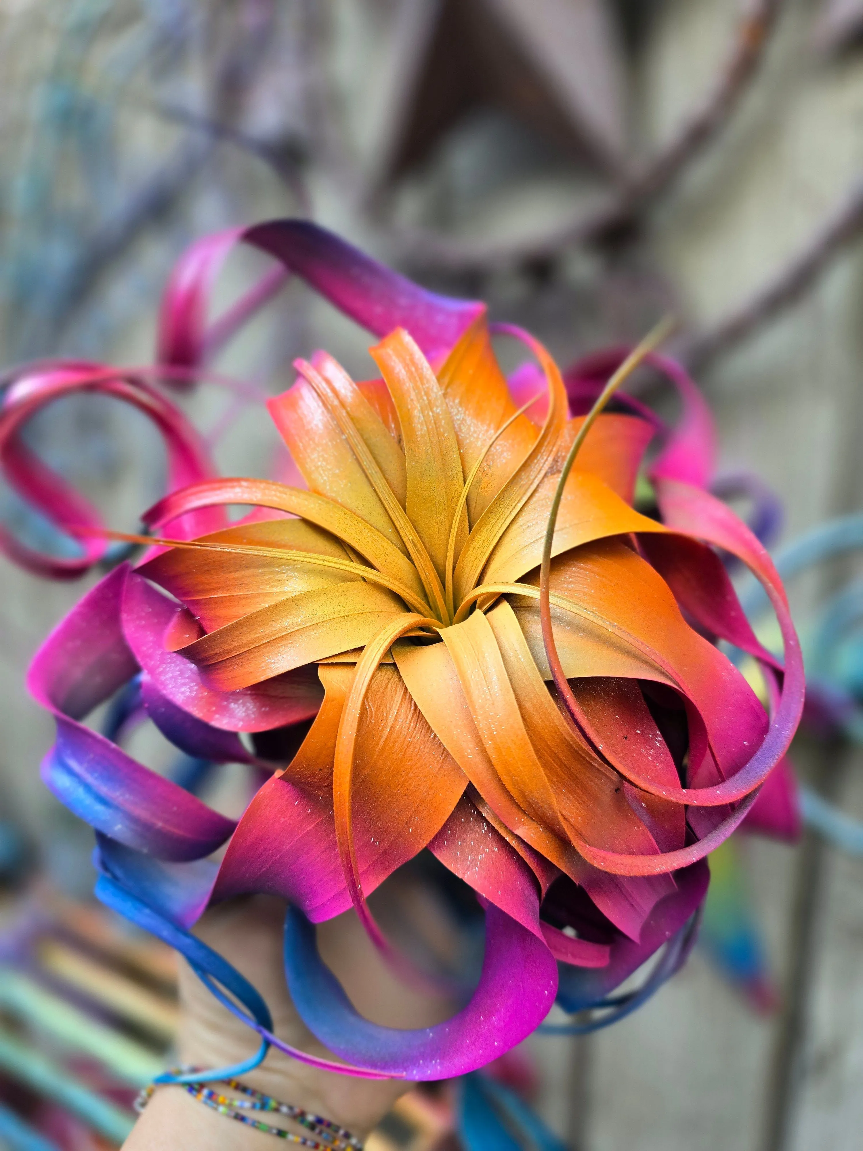 331008d8-9cc0-4b2f-b9c6-e1a49b32c3a3