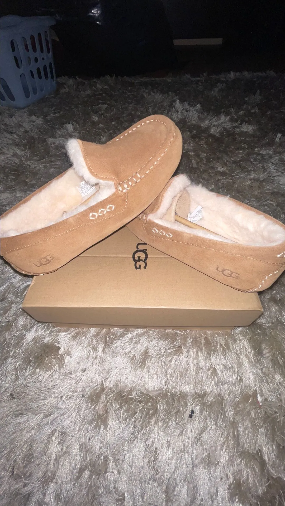 Product image for Brand New Uggs Size 6