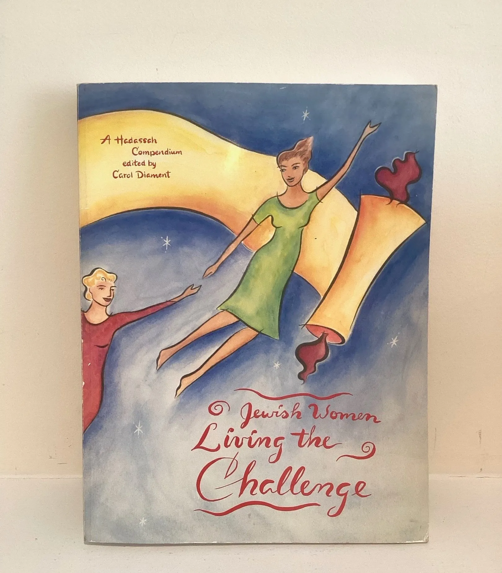 Product image for Jewish Women Living The Challenge paperback