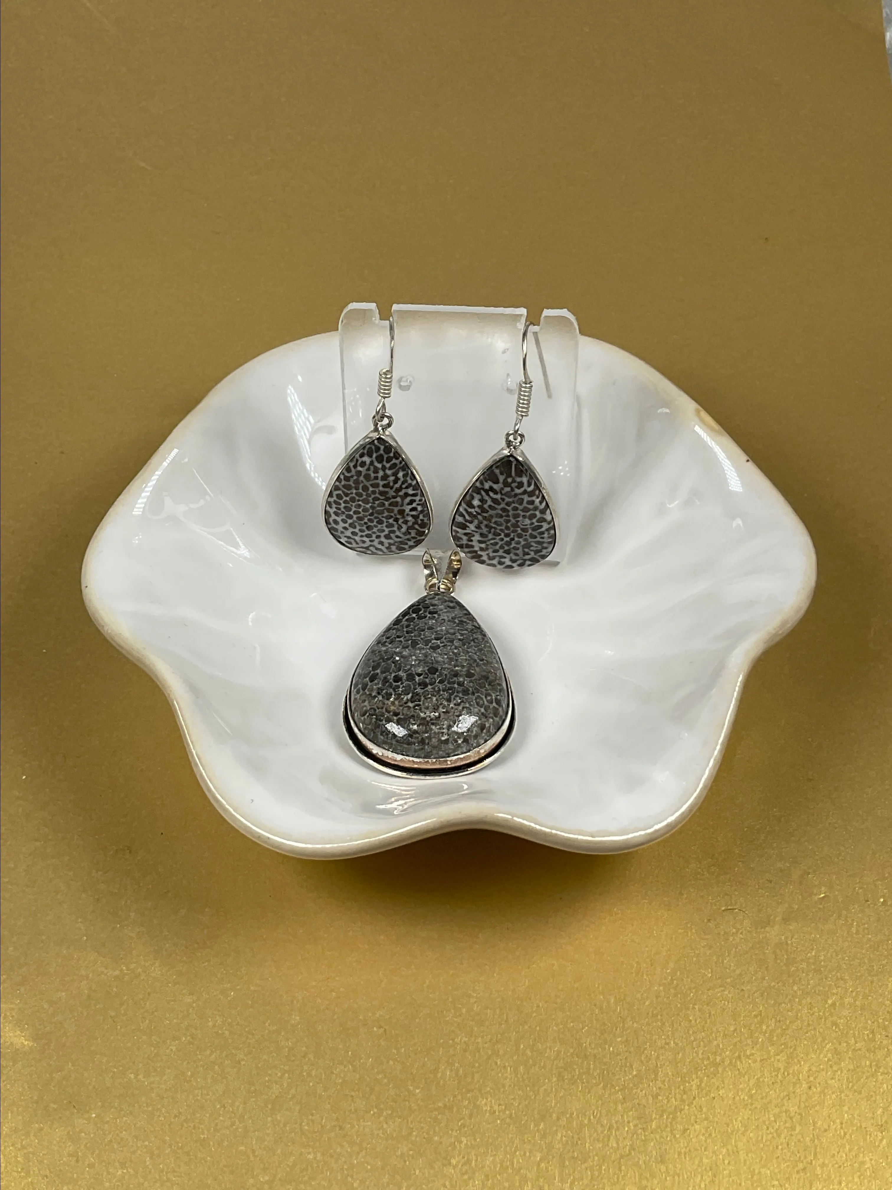 Product image for #1G: Petoskey Stone Set