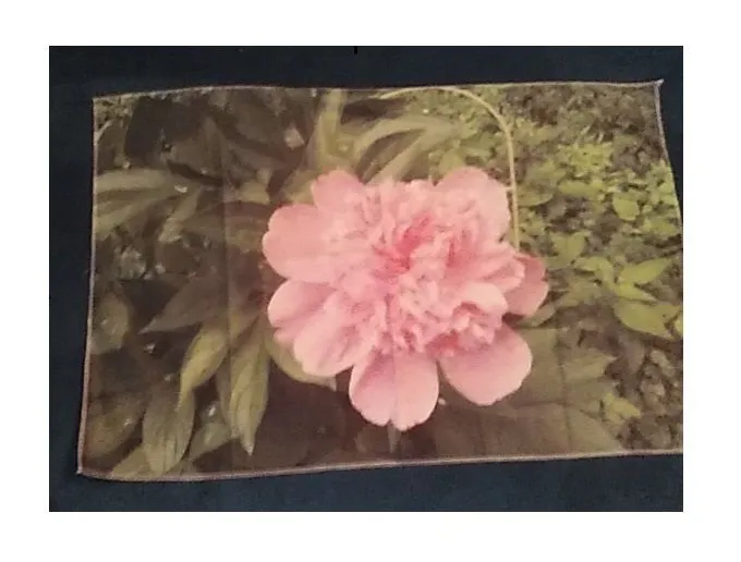 Product image for Tapestry Flowers From My Garden Pink Peony Photo 24" x 16" Wall Hanging New