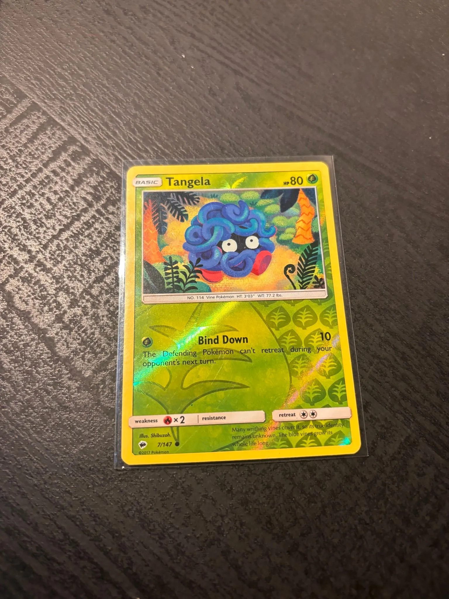 34e8cabf-e6bd-4fbf-93ce-eb4ae1dbae10