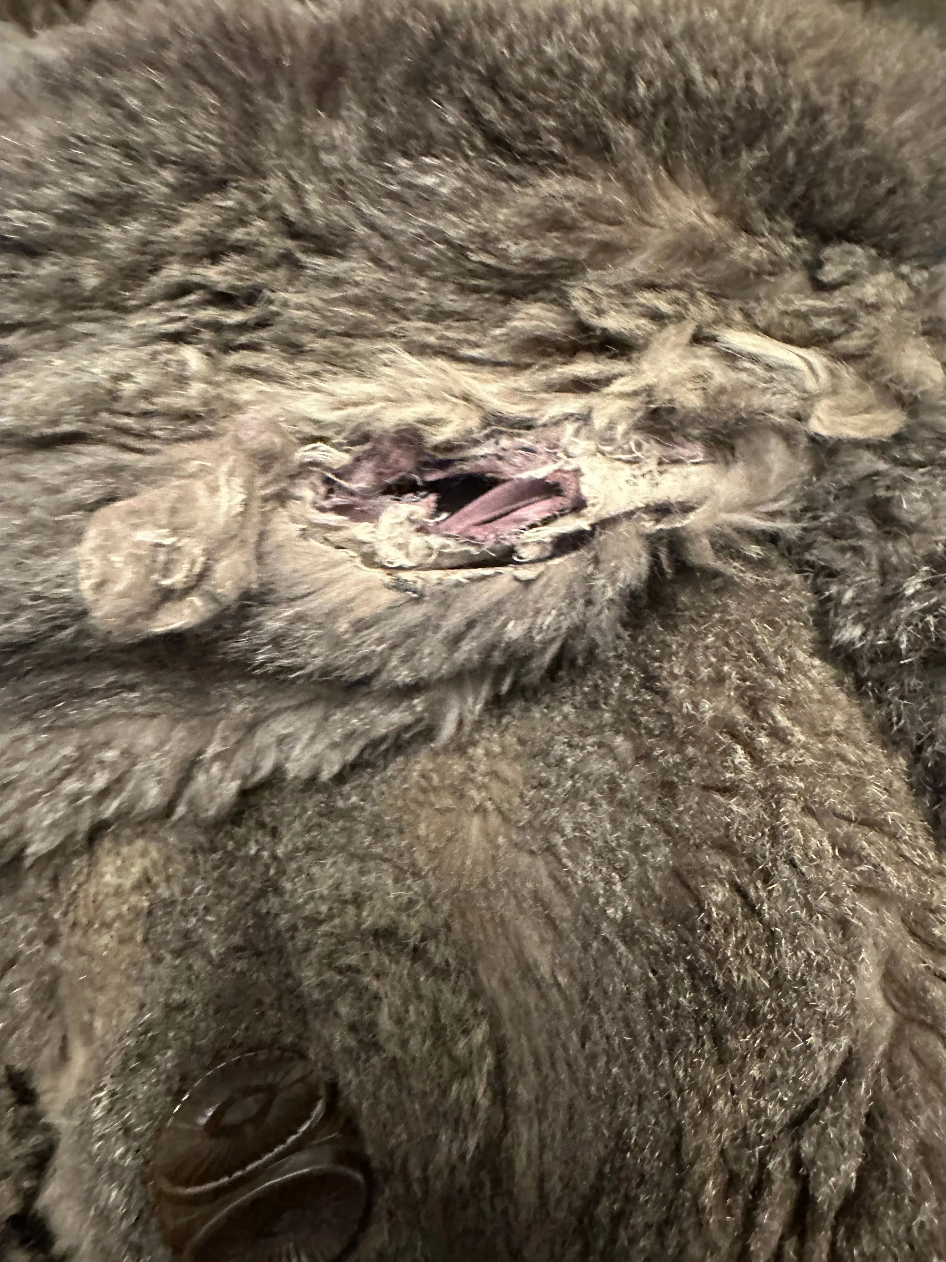 Product image for Wounded warrior- Possum Fur Coat