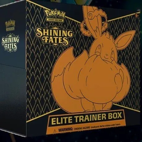 Product image for shining fates ETB sealed  pokemon 