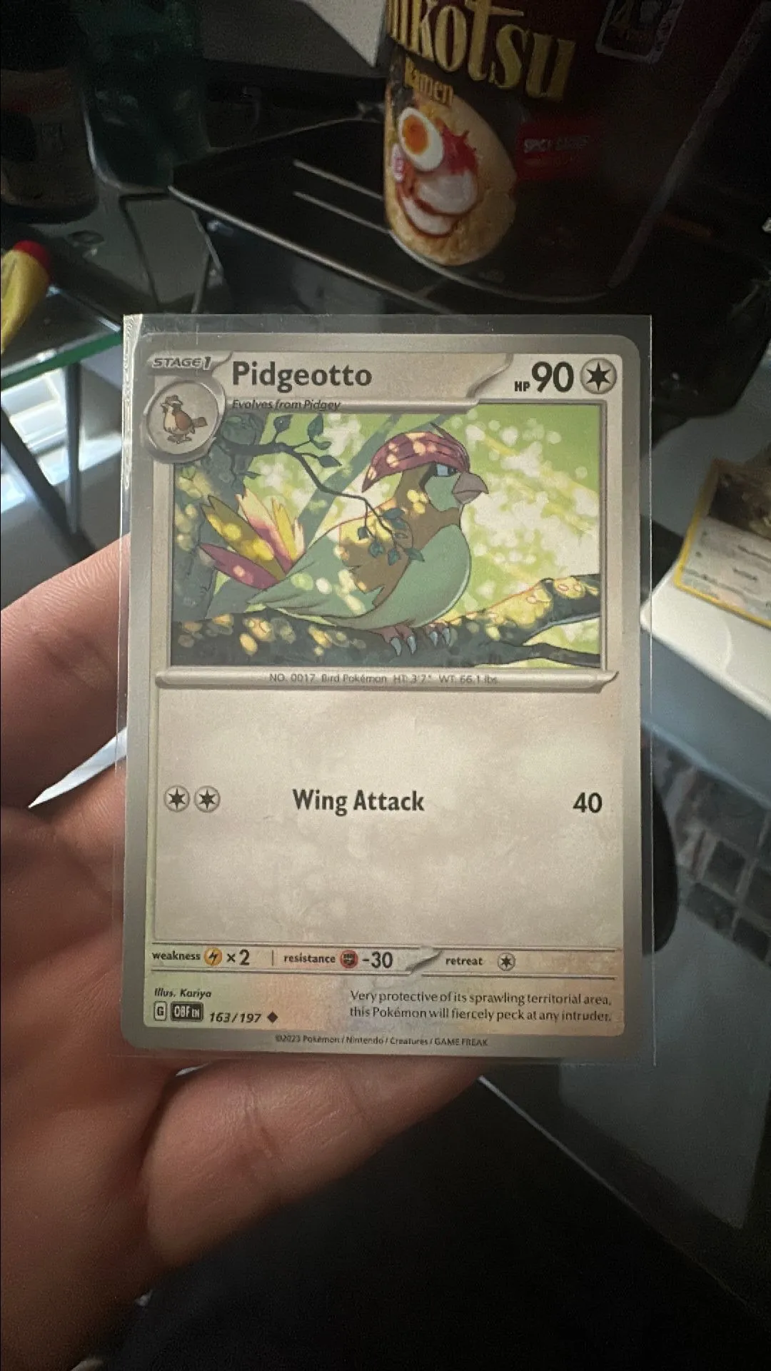 Product image for Pidgeotto (Obsidian Flames)