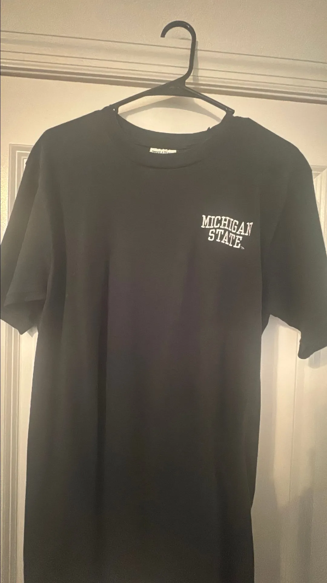 Product image for Michigan