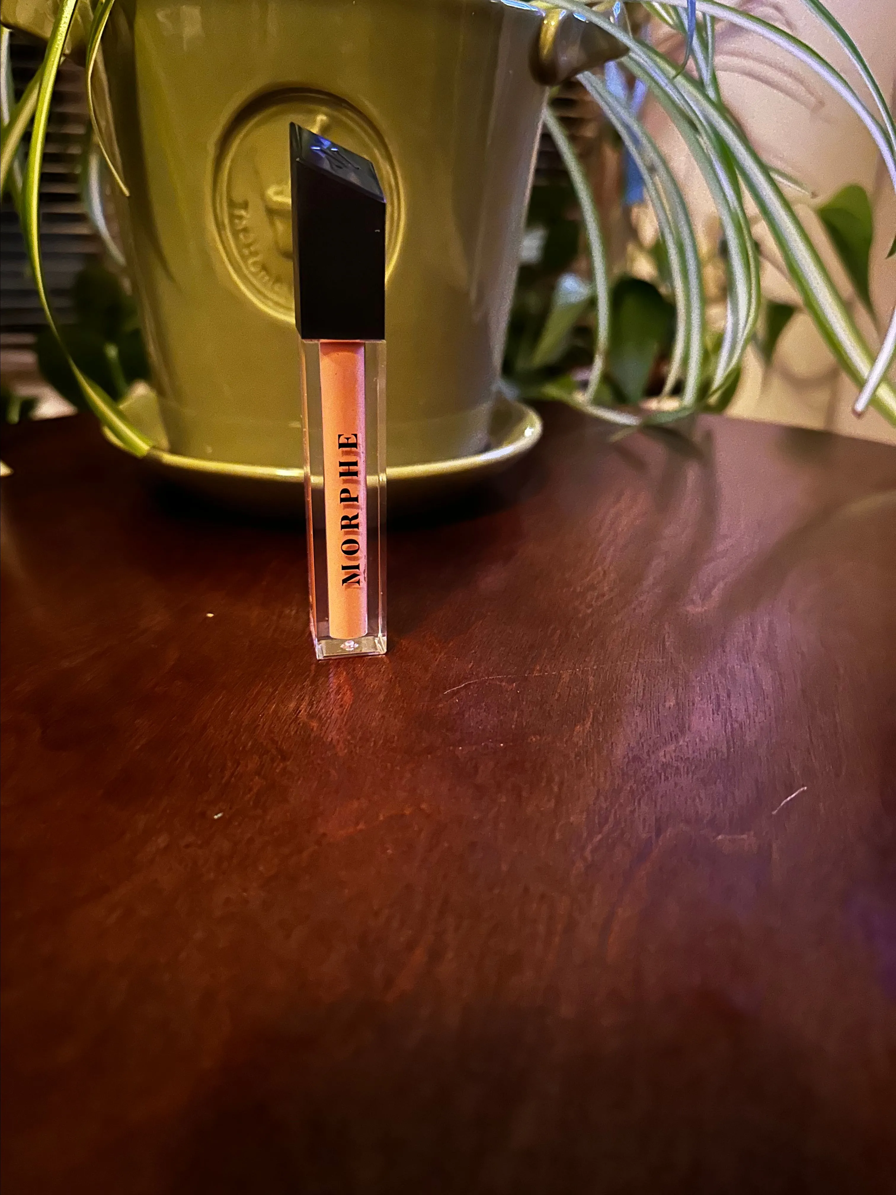 Product image for Morphe lip gloss shade- Chill  msrp $12