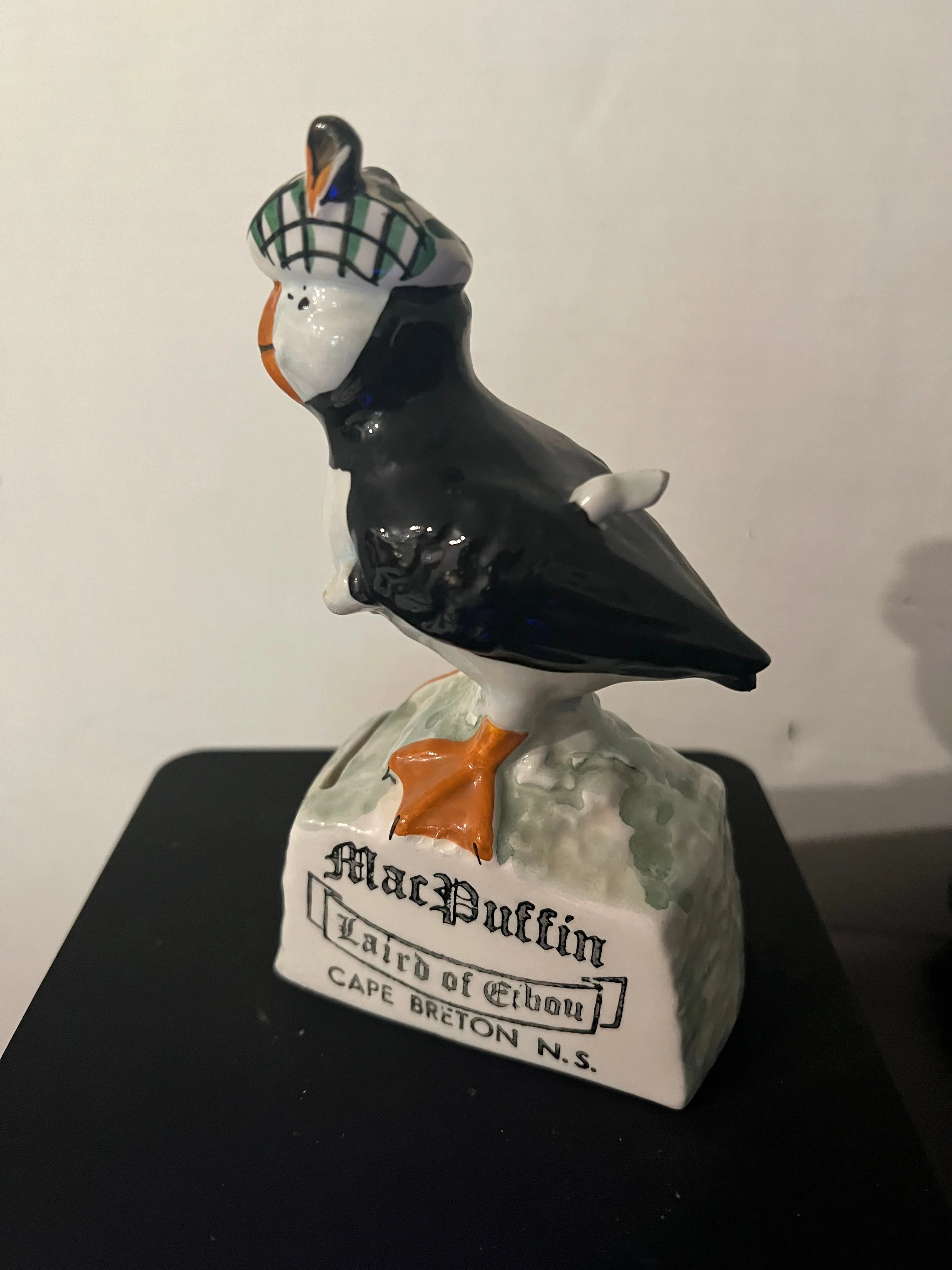 Product image for Mac Puffin Bank Italy