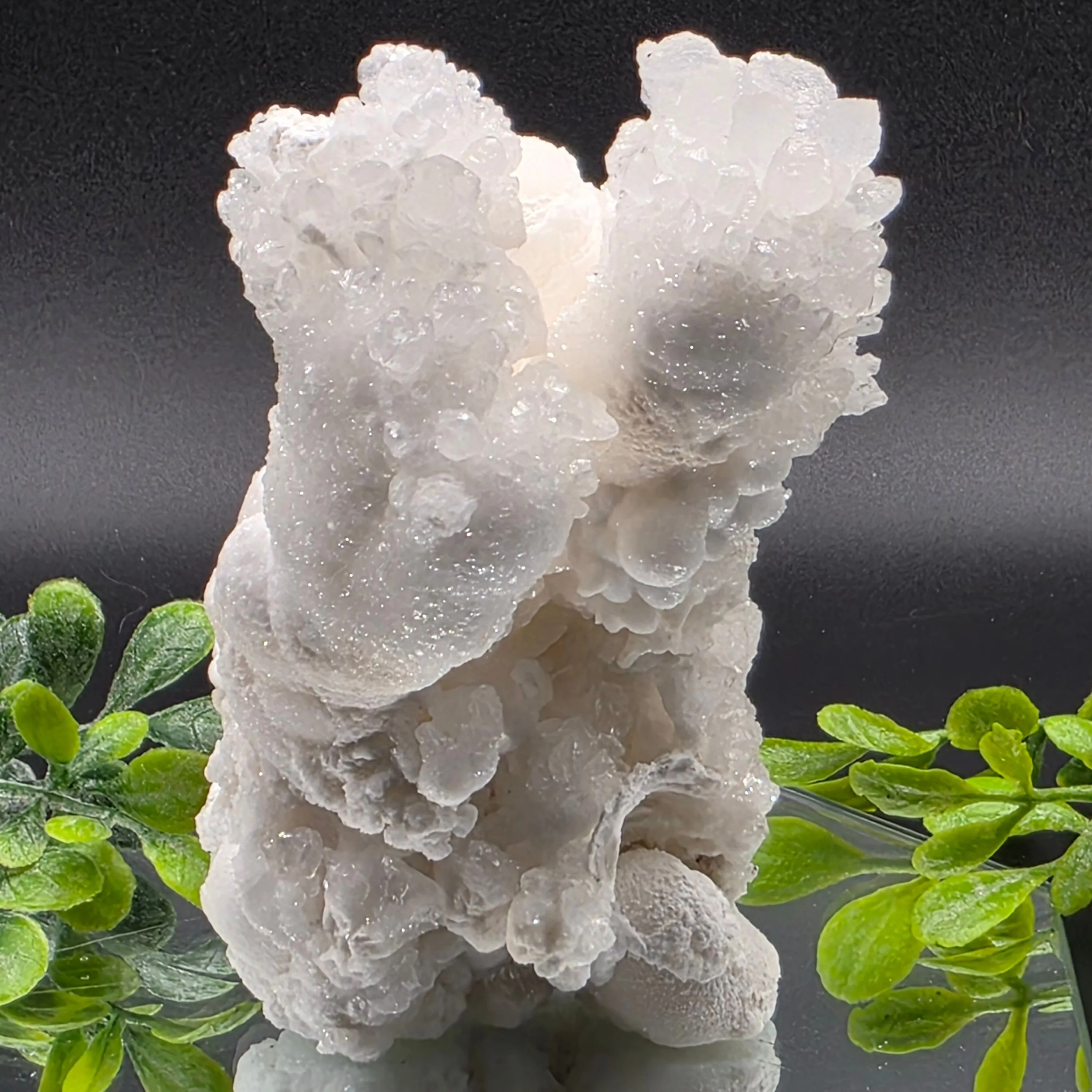 Product image for #650 Aragonite