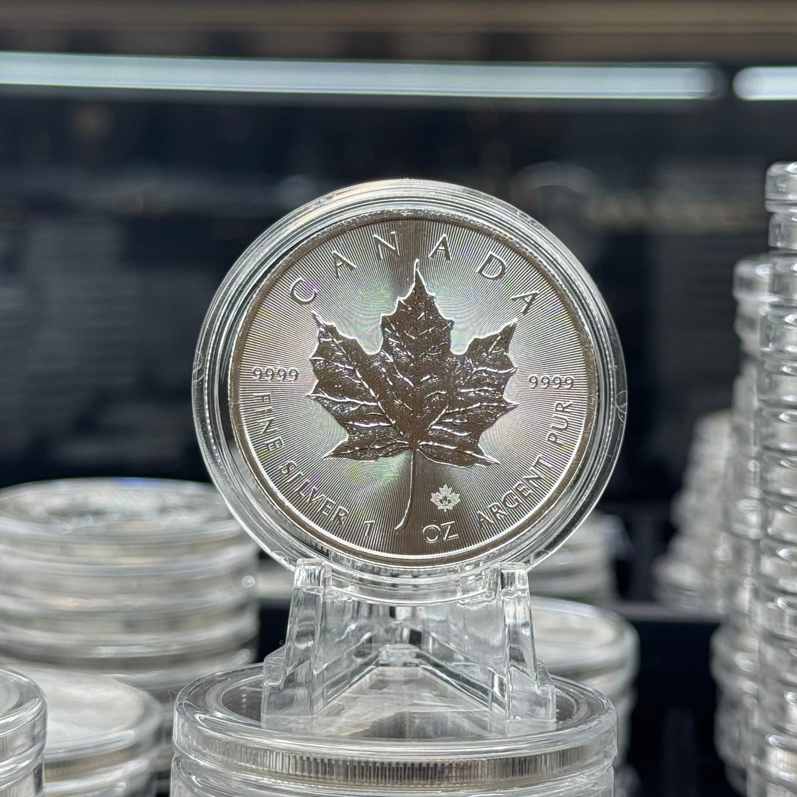 Product image for 1oz Charles Canadian Maple Leaf Coin