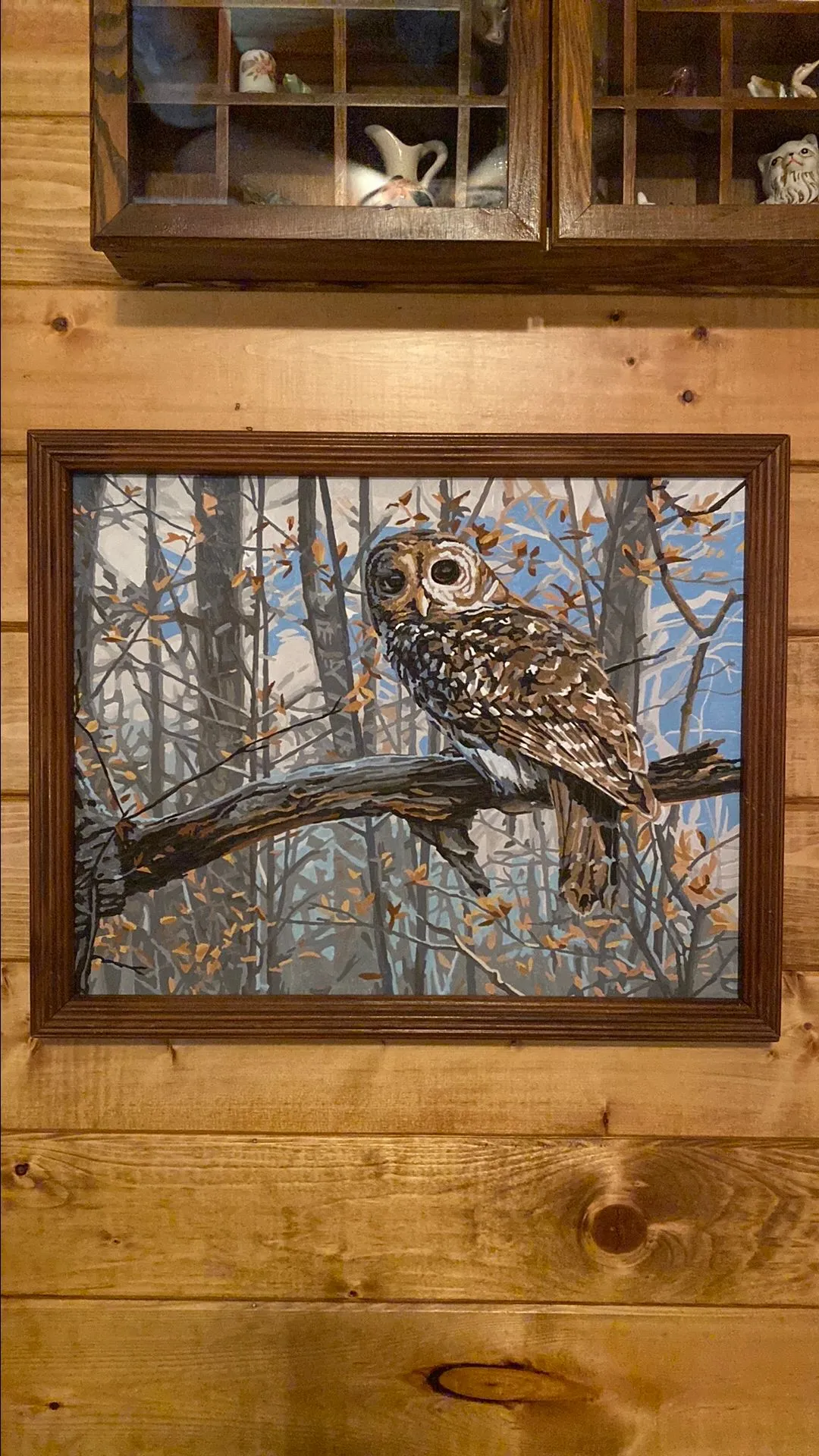 Product image for Framed Owl Completed Paint By Number
