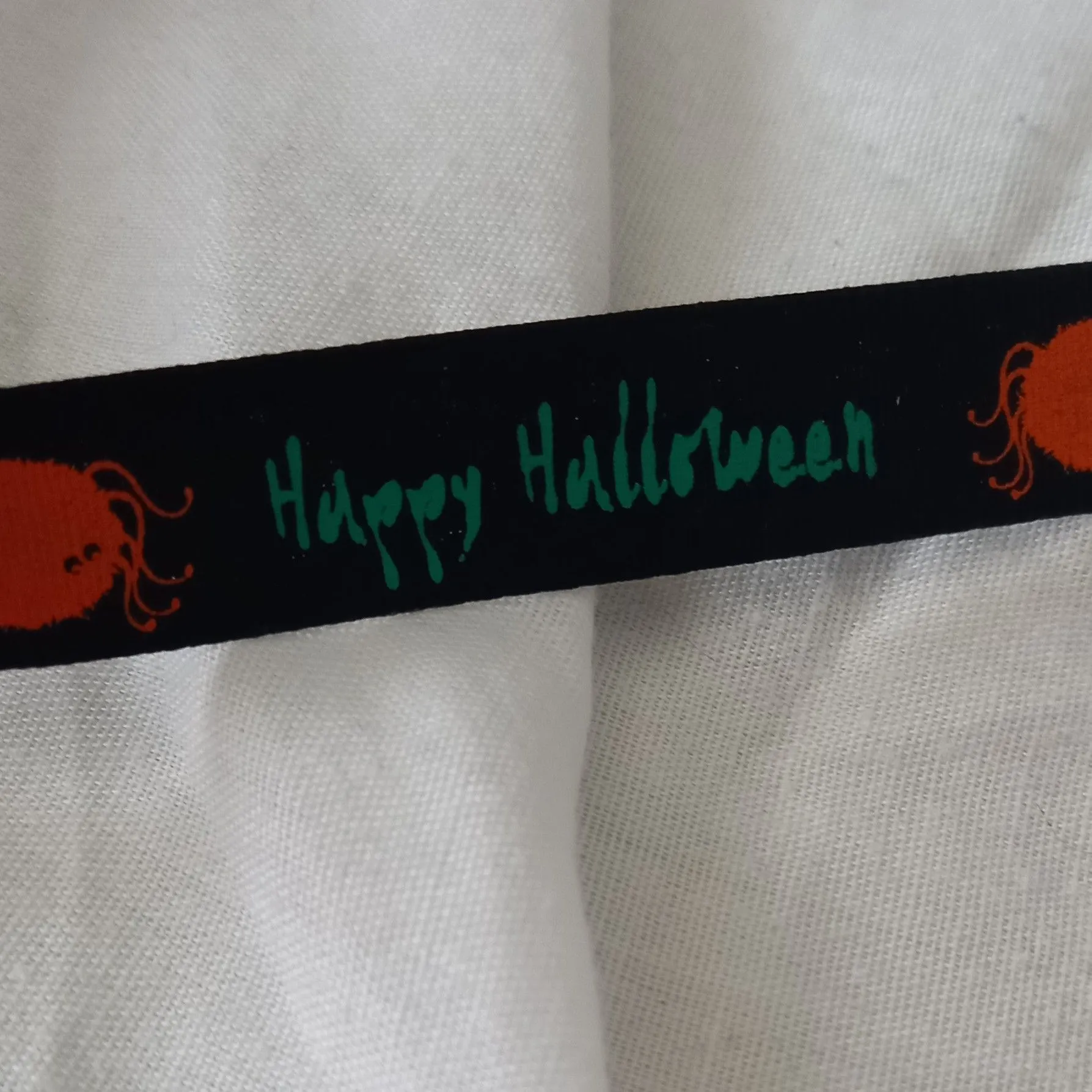 Product image for Green Happy Halloween with Orange Spider on Black Ribbon