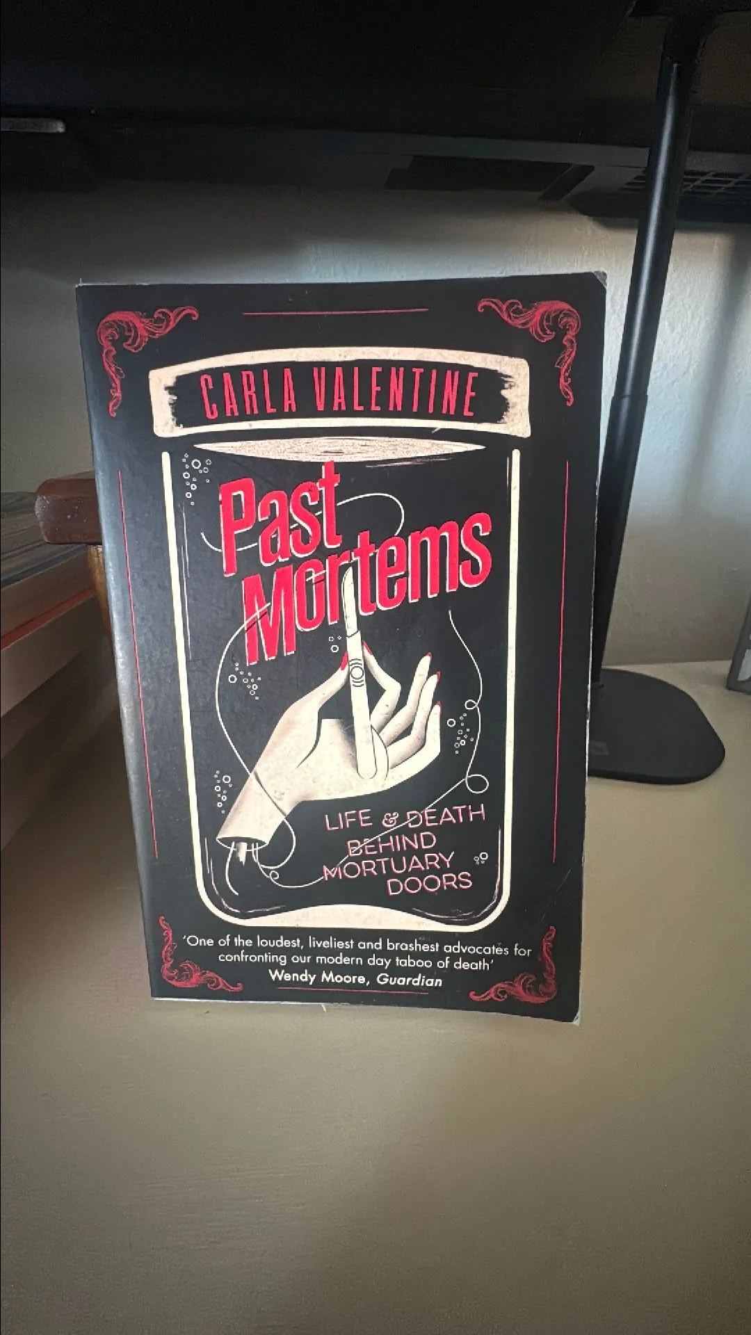 Product image for Past mortems
