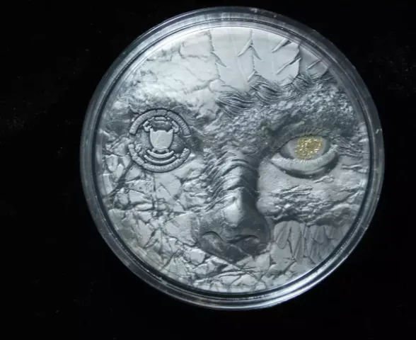 Product image for 2025 Cameroon Sariel 2 oz .999 Silver Antiqued Gold Foil Coin in OGP
