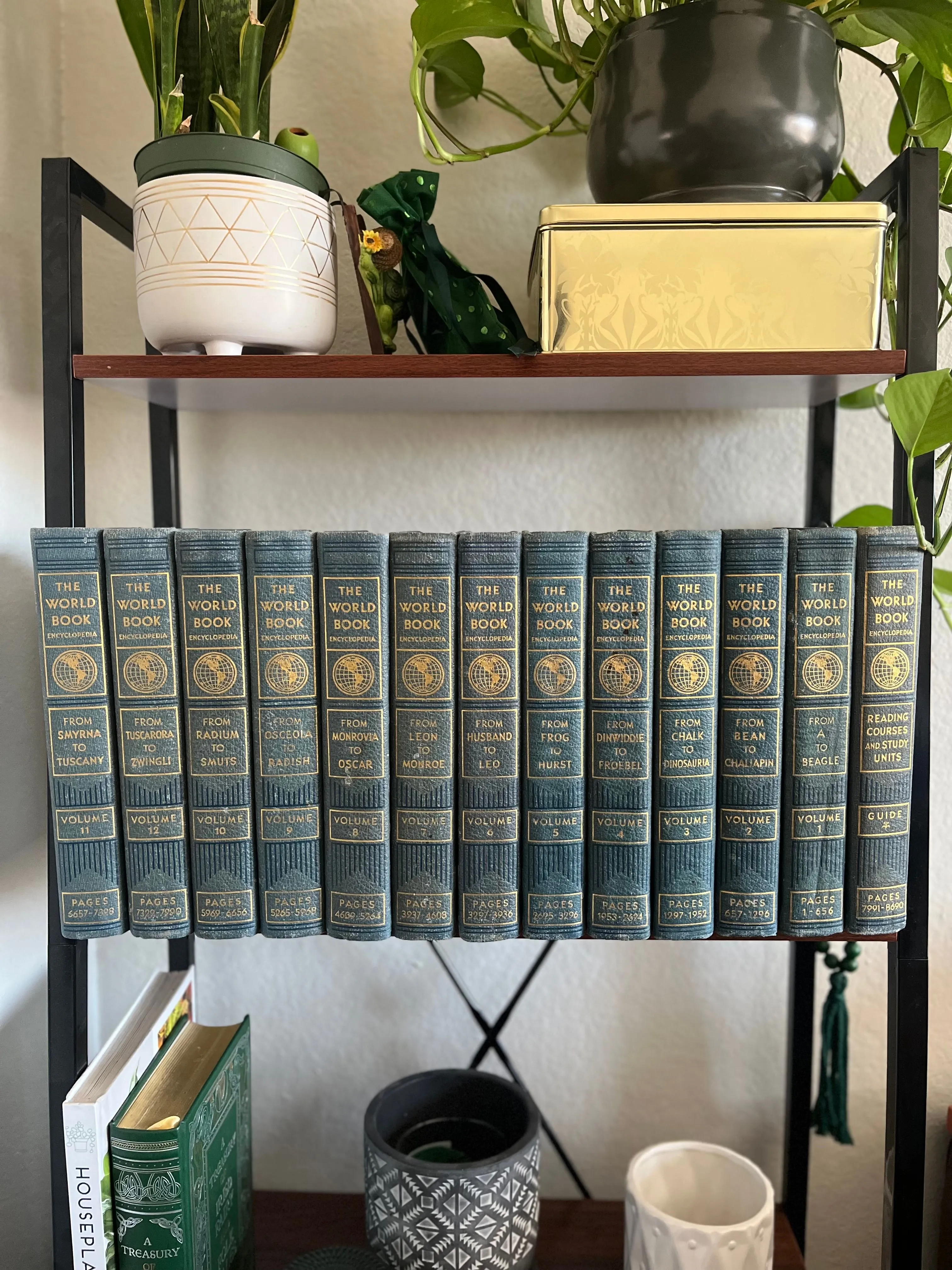 Product image for The World Book (Organized Knowledge In Story and Picture) 12 Vol. Set (1929) - Antique Encyclopedia