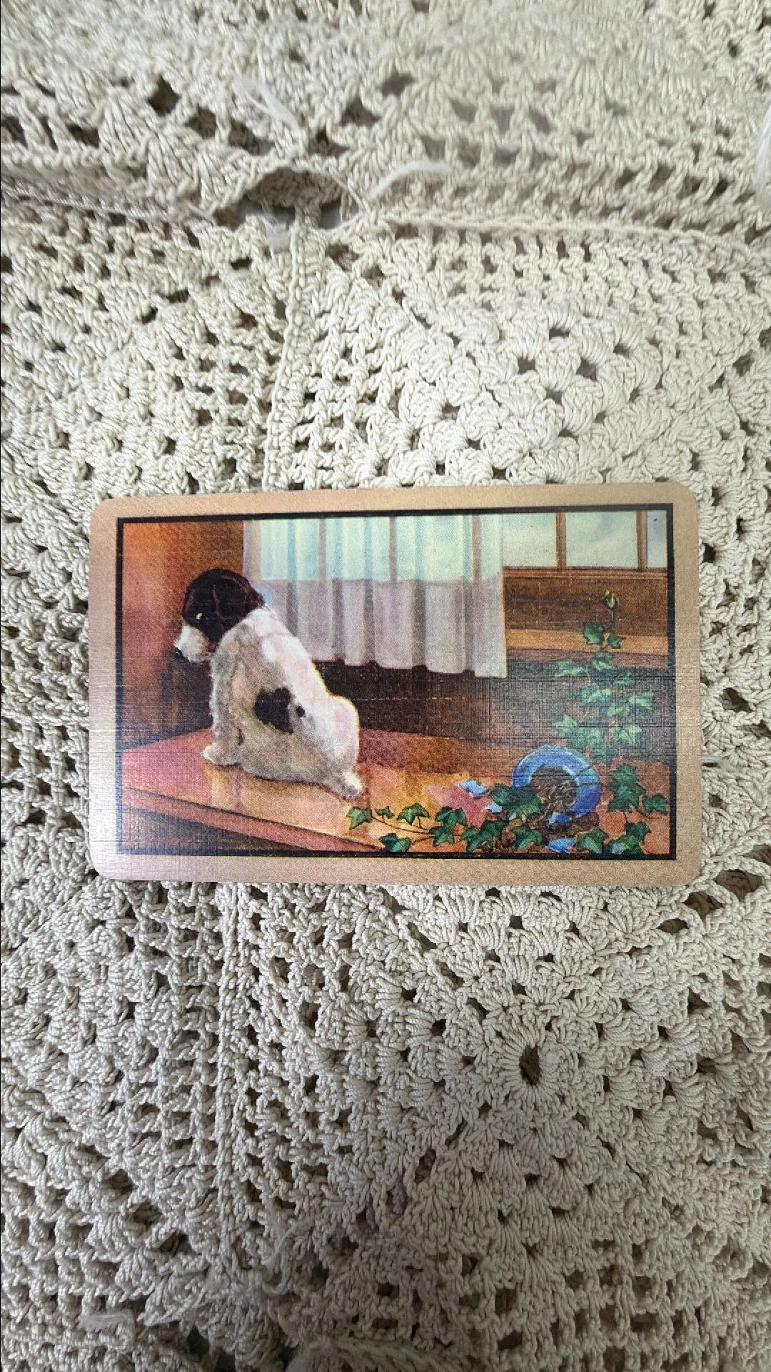 39ec05eb-a97a-48ad-bc07-a2d2dcd98675