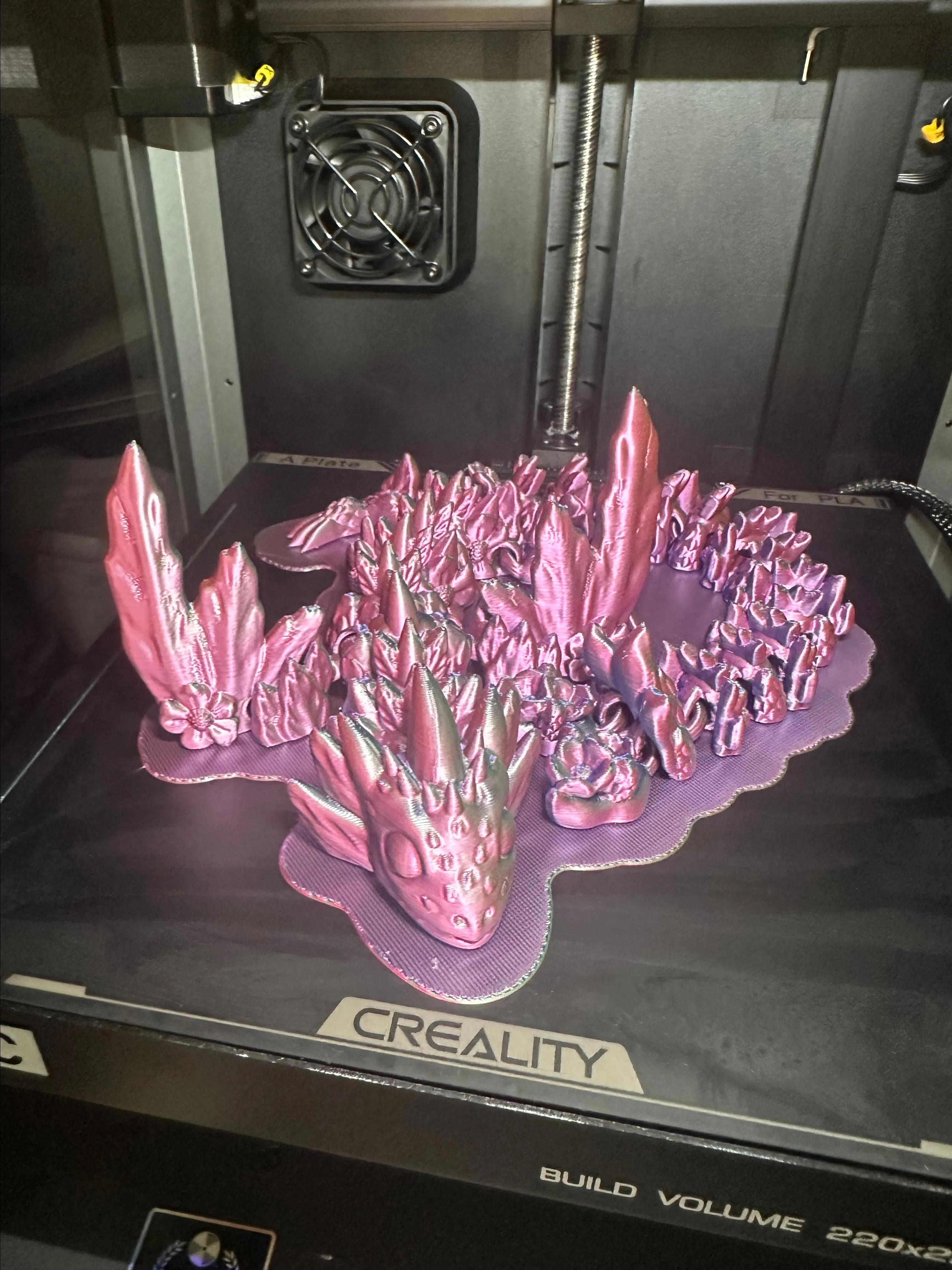 Product image for Dragon