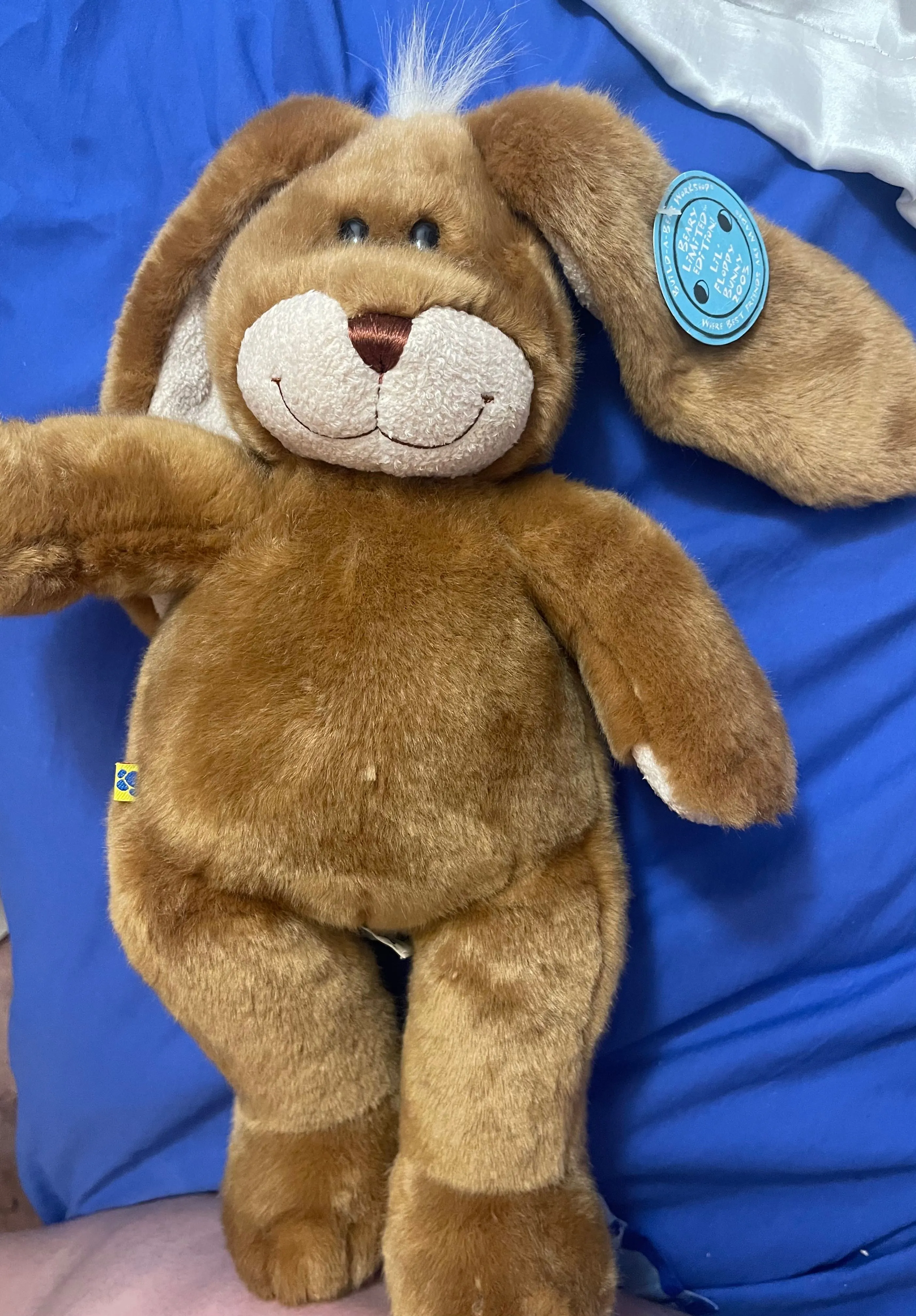 Product image for Vintage Build a Bear 2005 floppy bunny