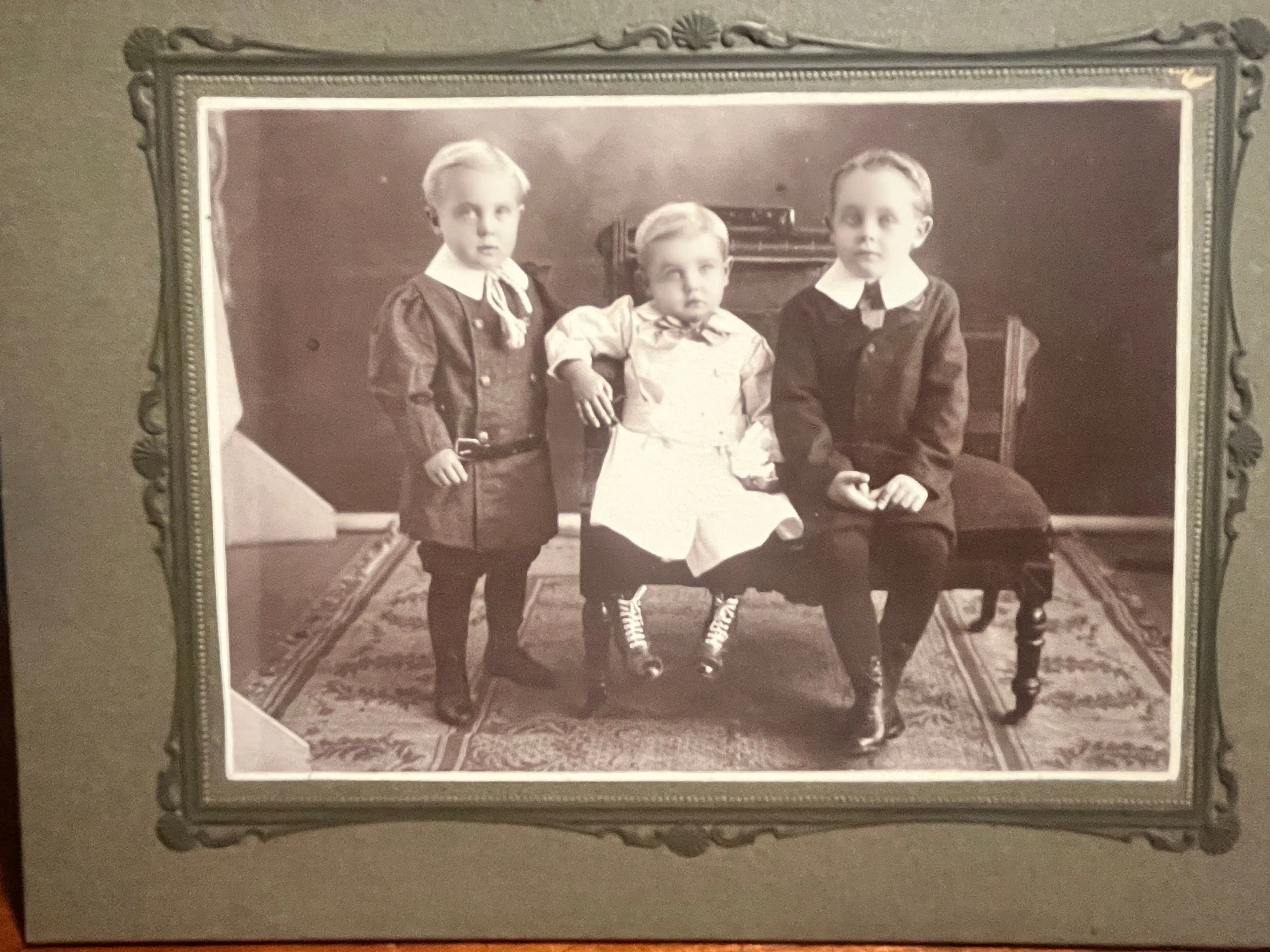 Product image for Instant Ancestors