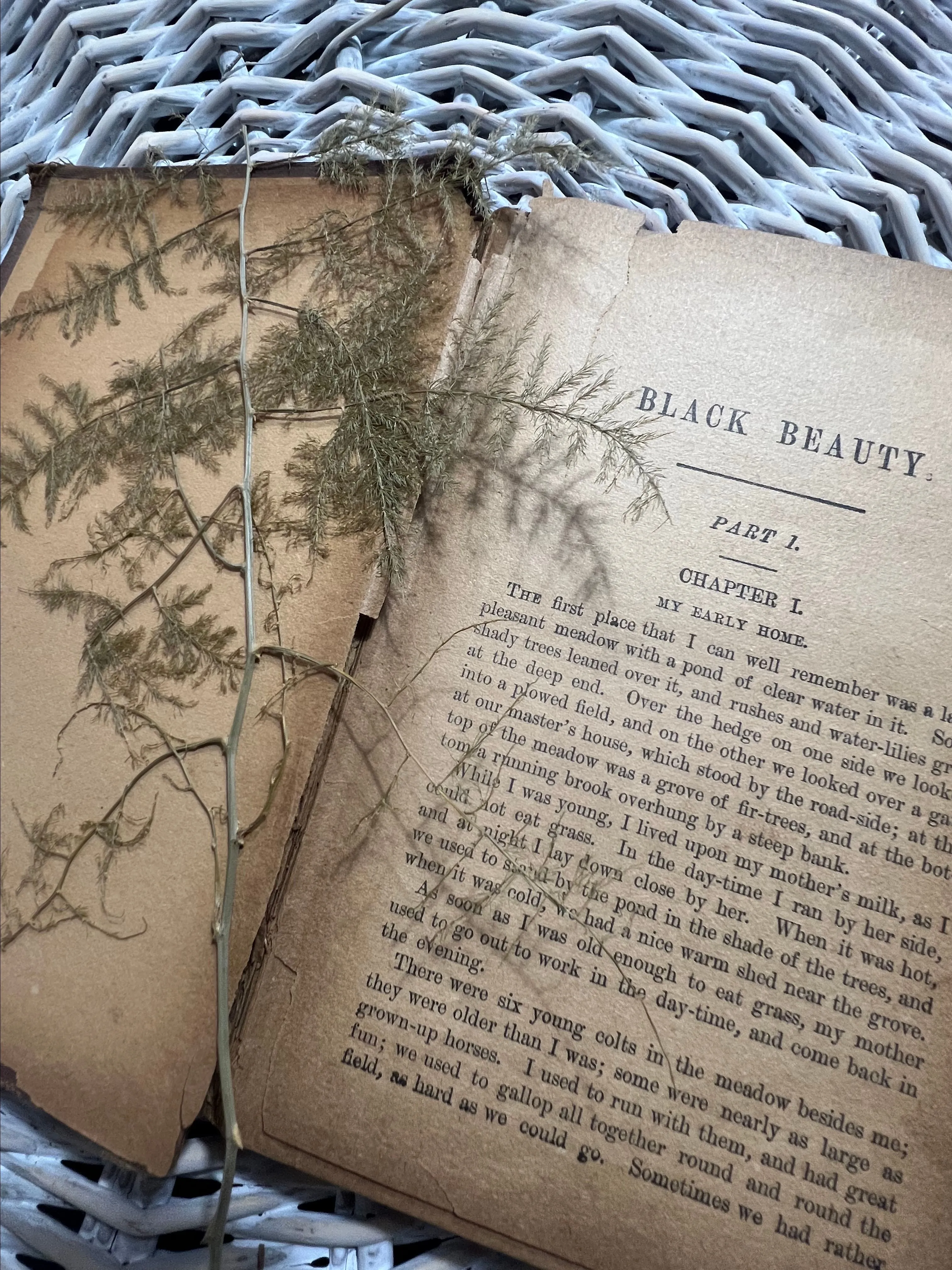 Product image for 21.  Books FARMHENIAN ANTIQUE early 1900's BLACK BEAUTY by Anna Sewell
