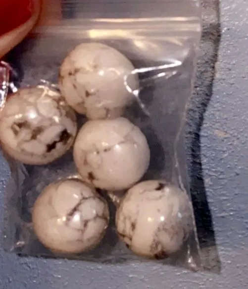Product image for 5 Gorgeous Howlite Stones