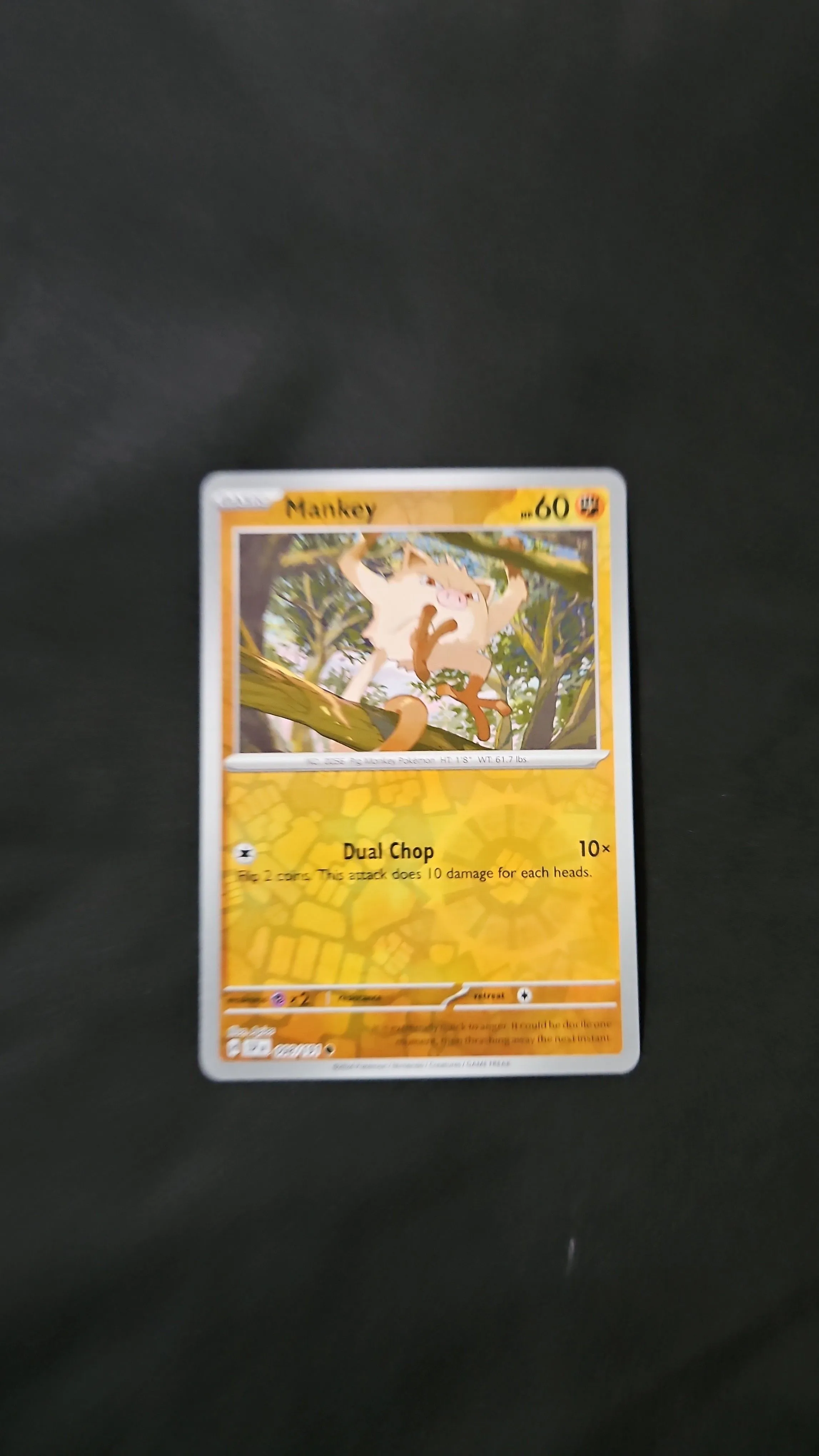 3a05fccc-f3d2-41ac-98ad-69bd2a86abbf