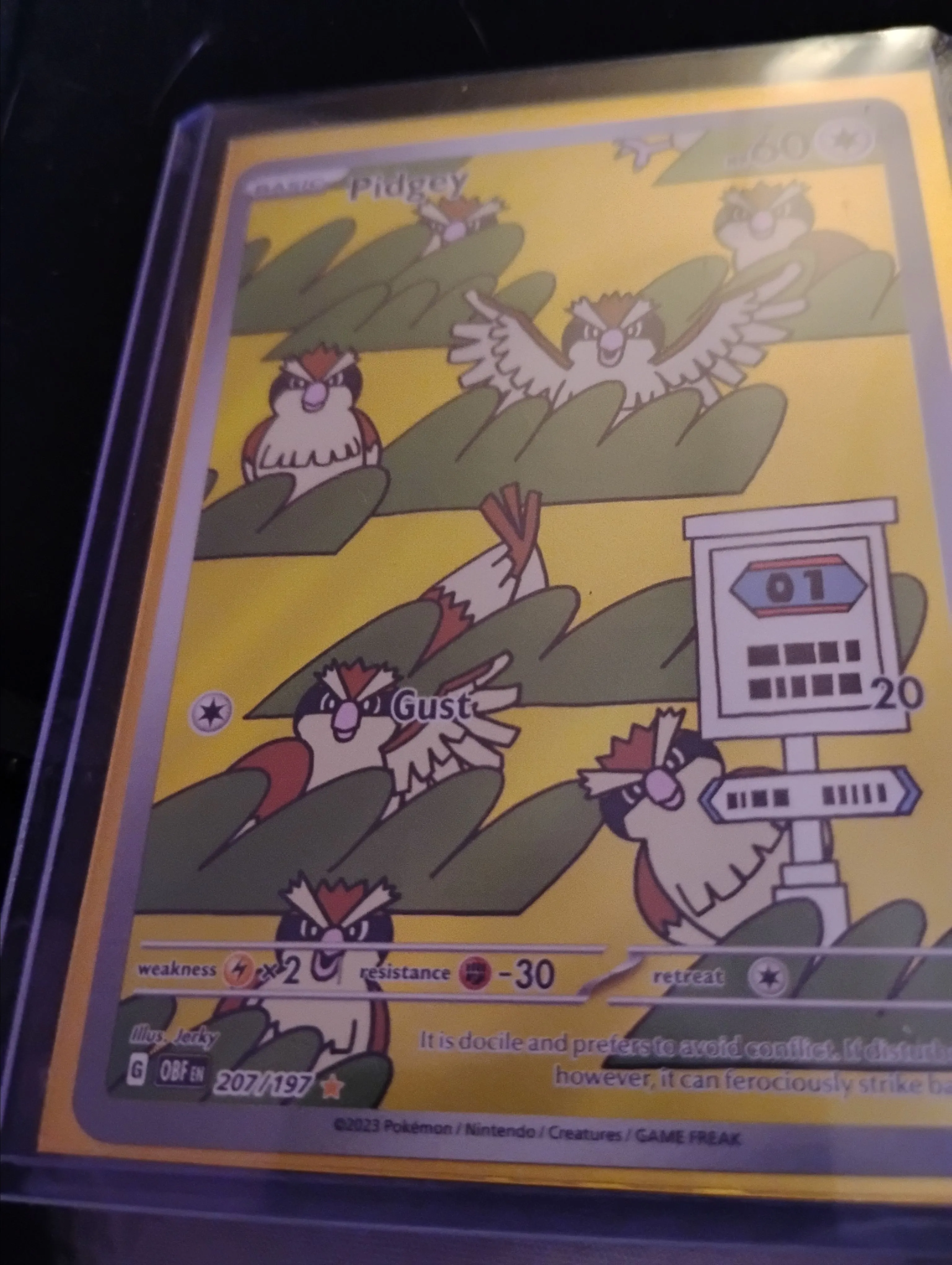 pidgey full art pokemon card Amazon.com: Pokemon - Pidgey 207/197 - Obsidian Flames - Illustration Rare