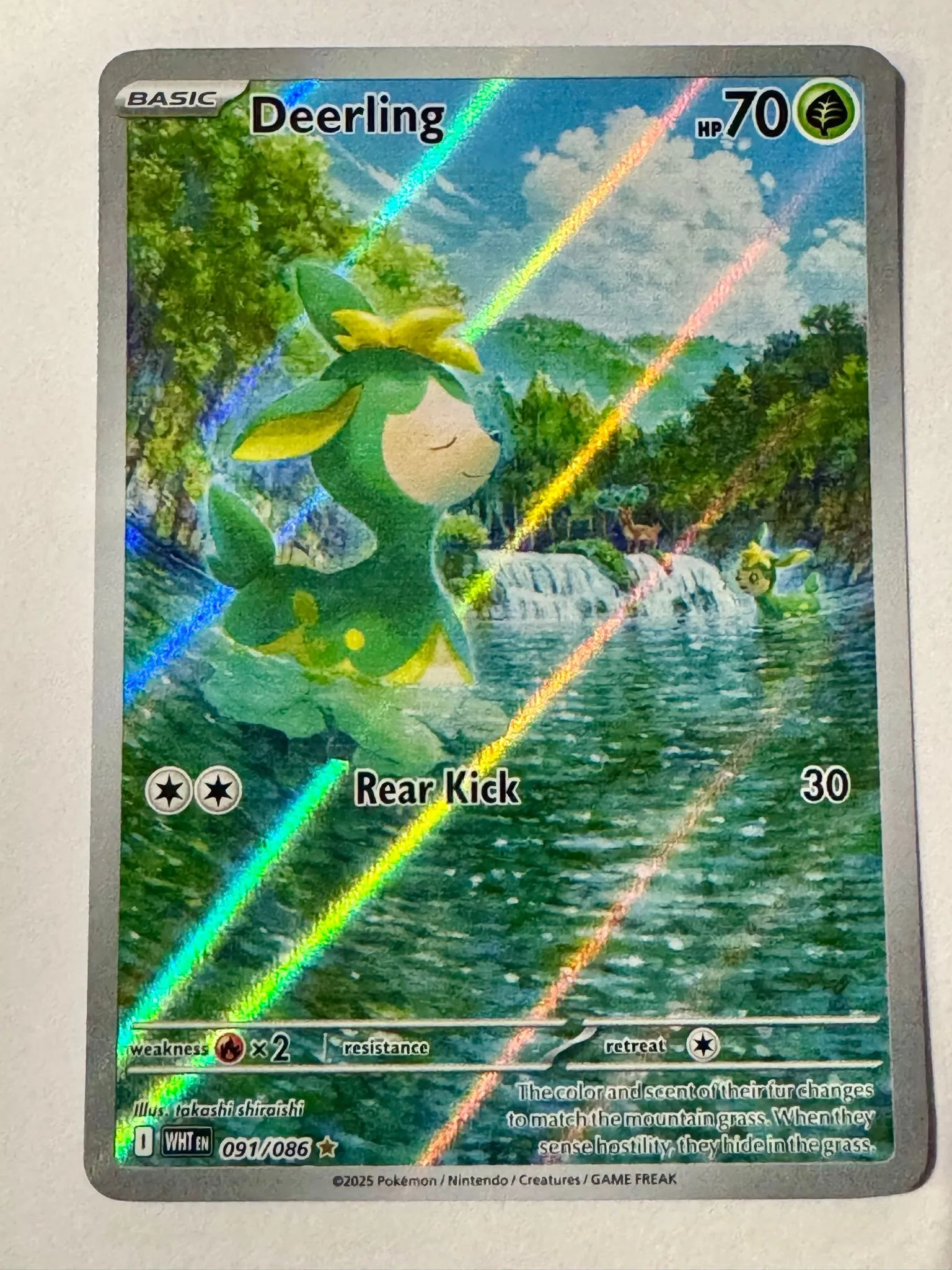 pokemon deerling card Pokemon Cards: DEERLING 8/124 REVERSE HOLLOW # 5H76 main image 0
