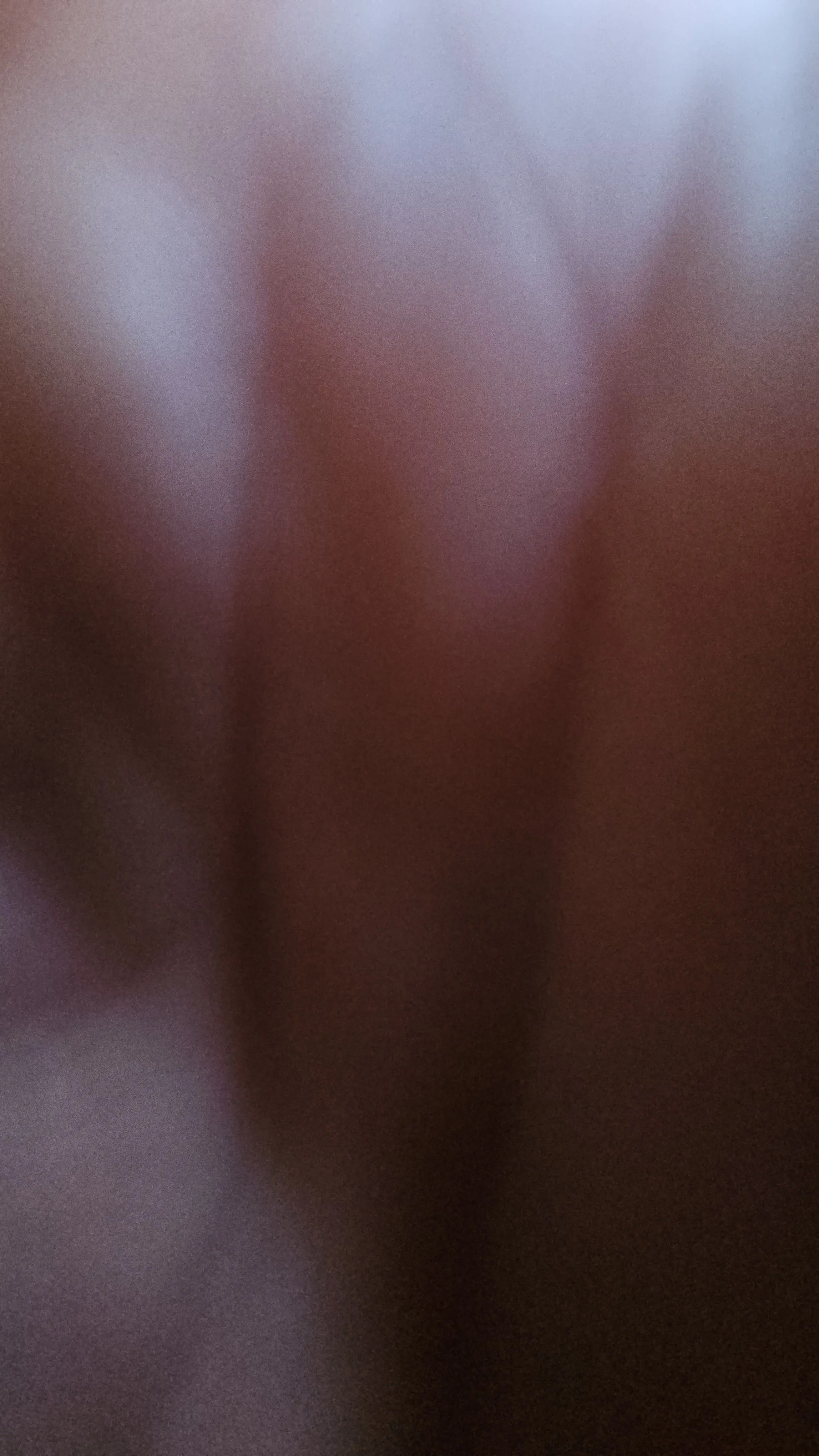 3c36e6d6-d070-45ea-aa1d-bcbaef588f3b