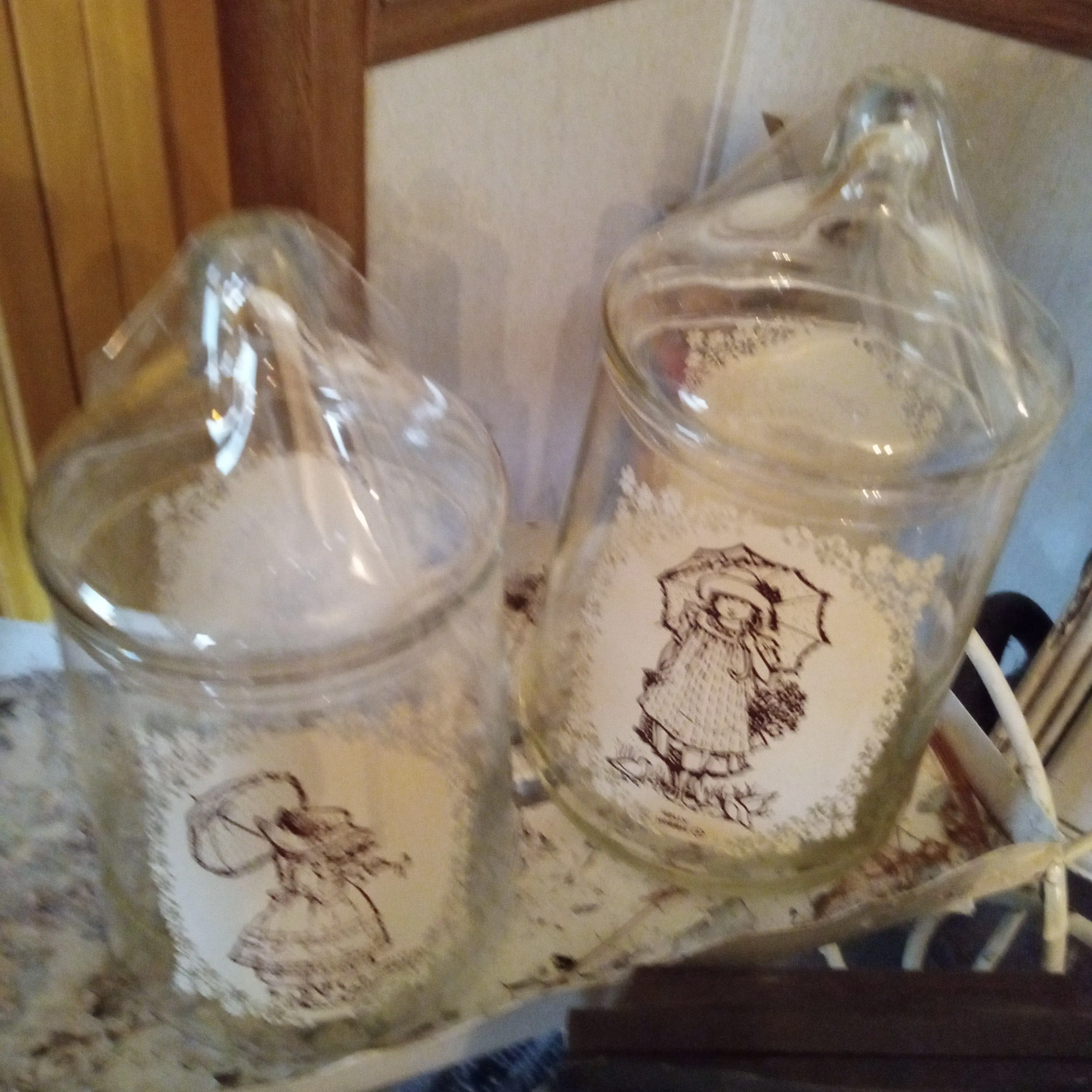 Product image for Vintage Holly Hobbie