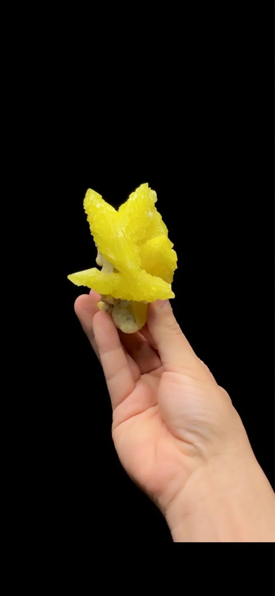 3d67c7bf-c847-4e6b-8603-4c62c8a03cec