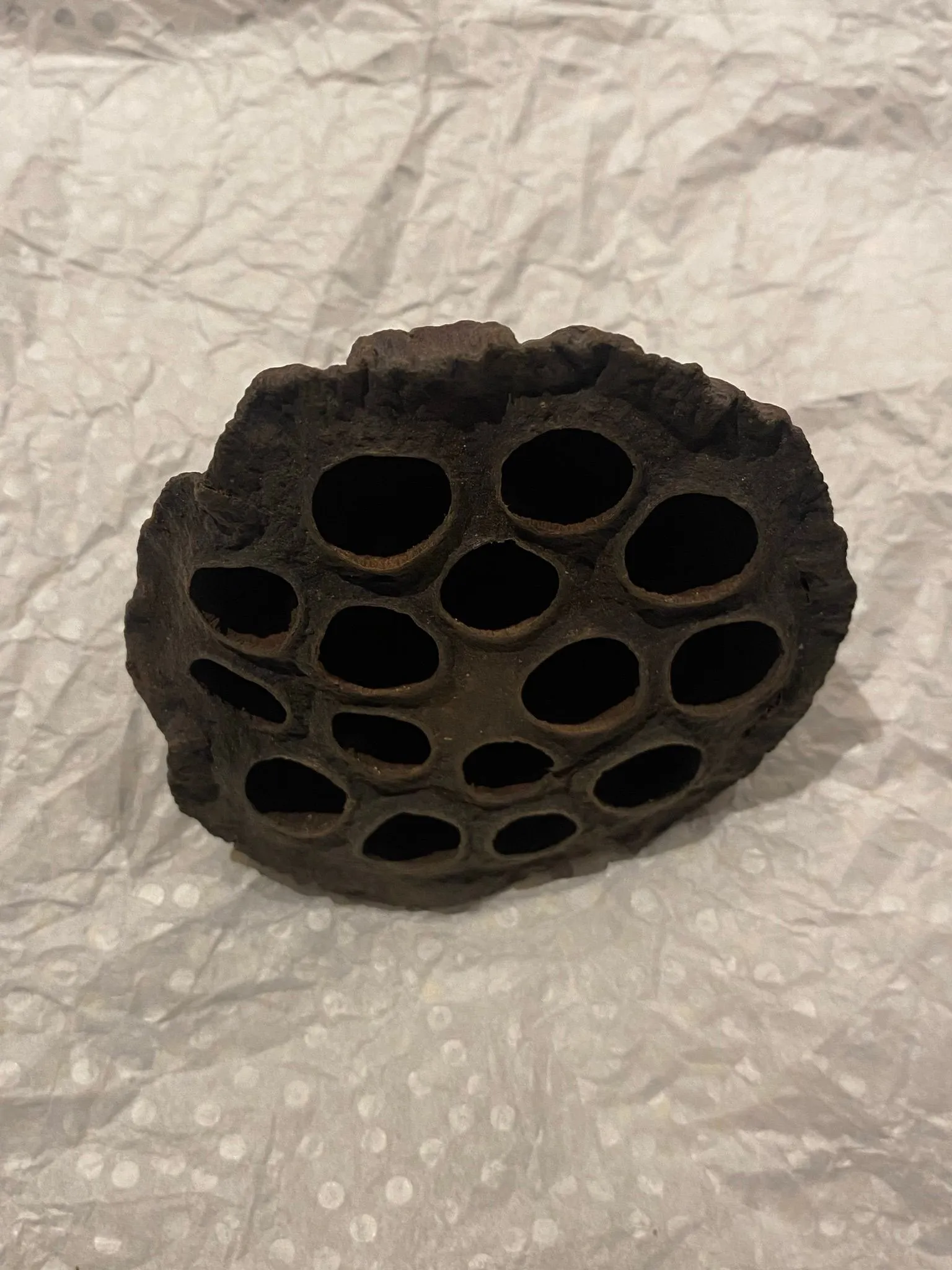 3d8e7549-5af8-4f5b-9e21-09efddcf5d91