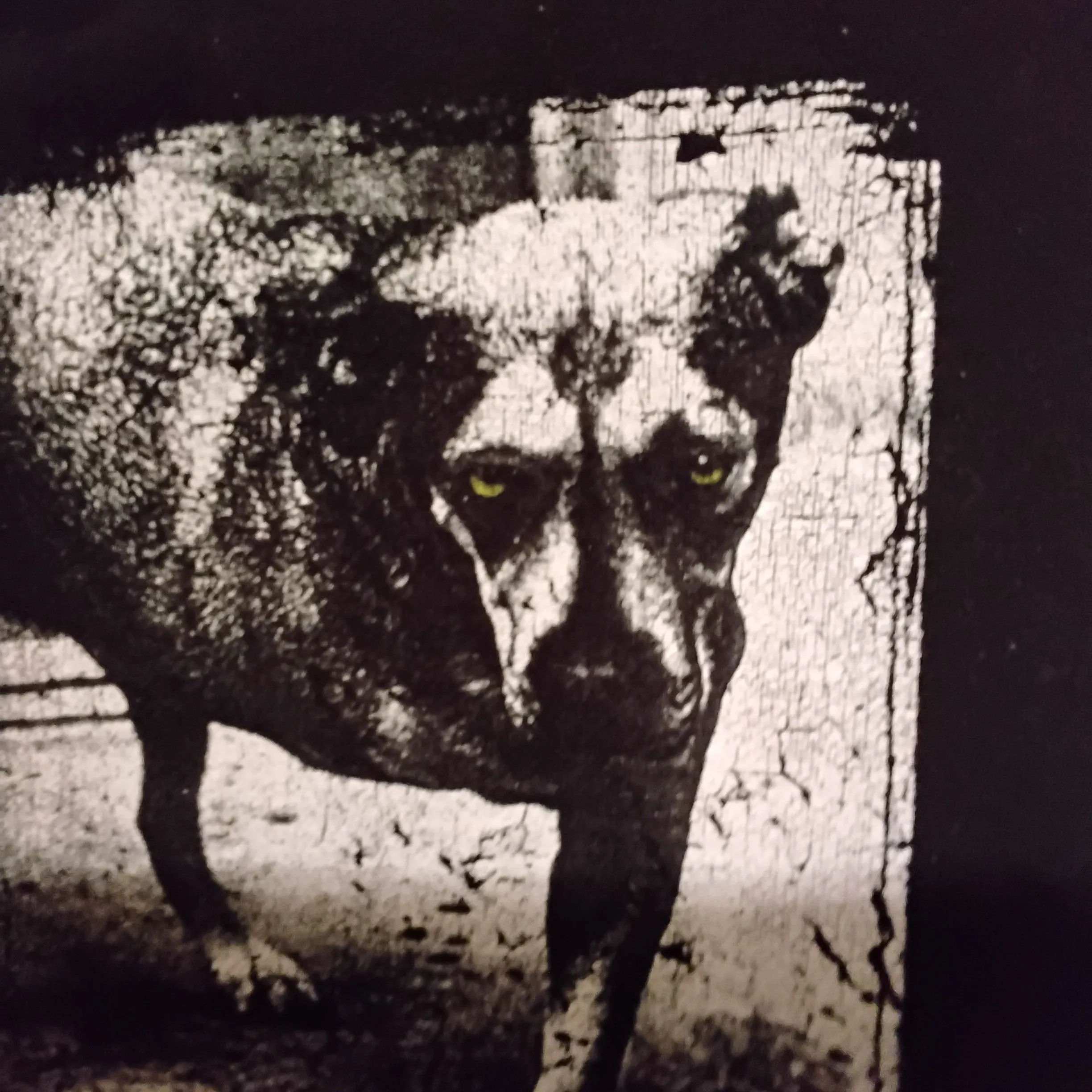 Product image for Alice in chains Tripod hoodie