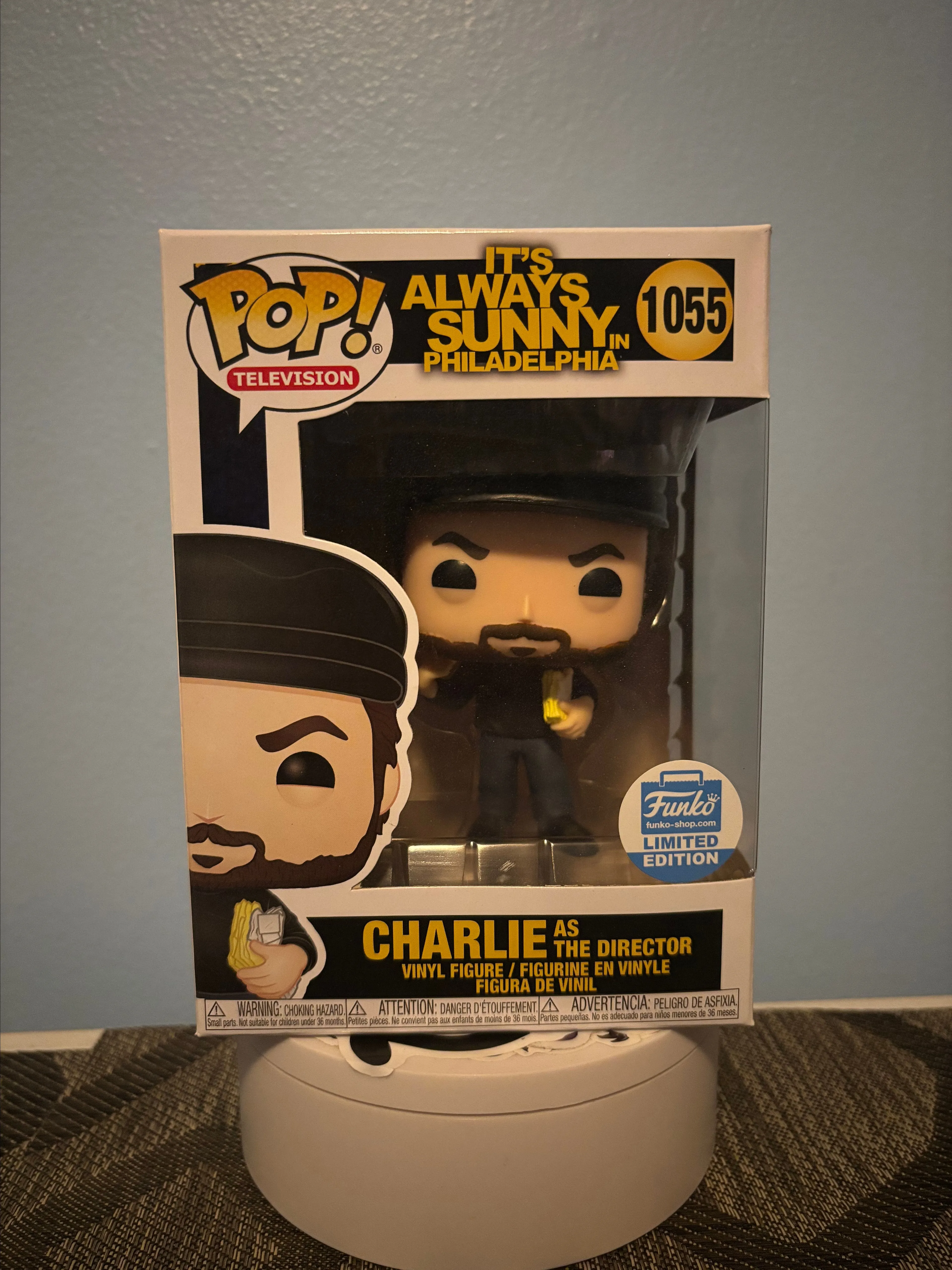 Product image for Charlie as the Director