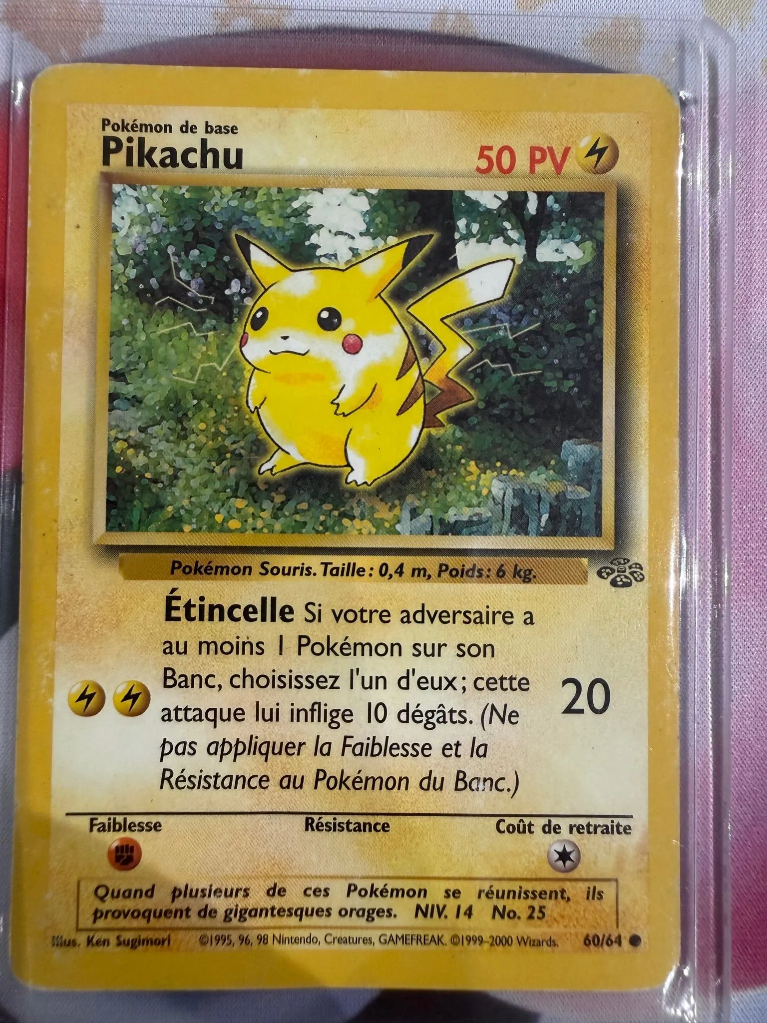 3e63ebad-5d64-4cdf-adbf-da4b5bad1473