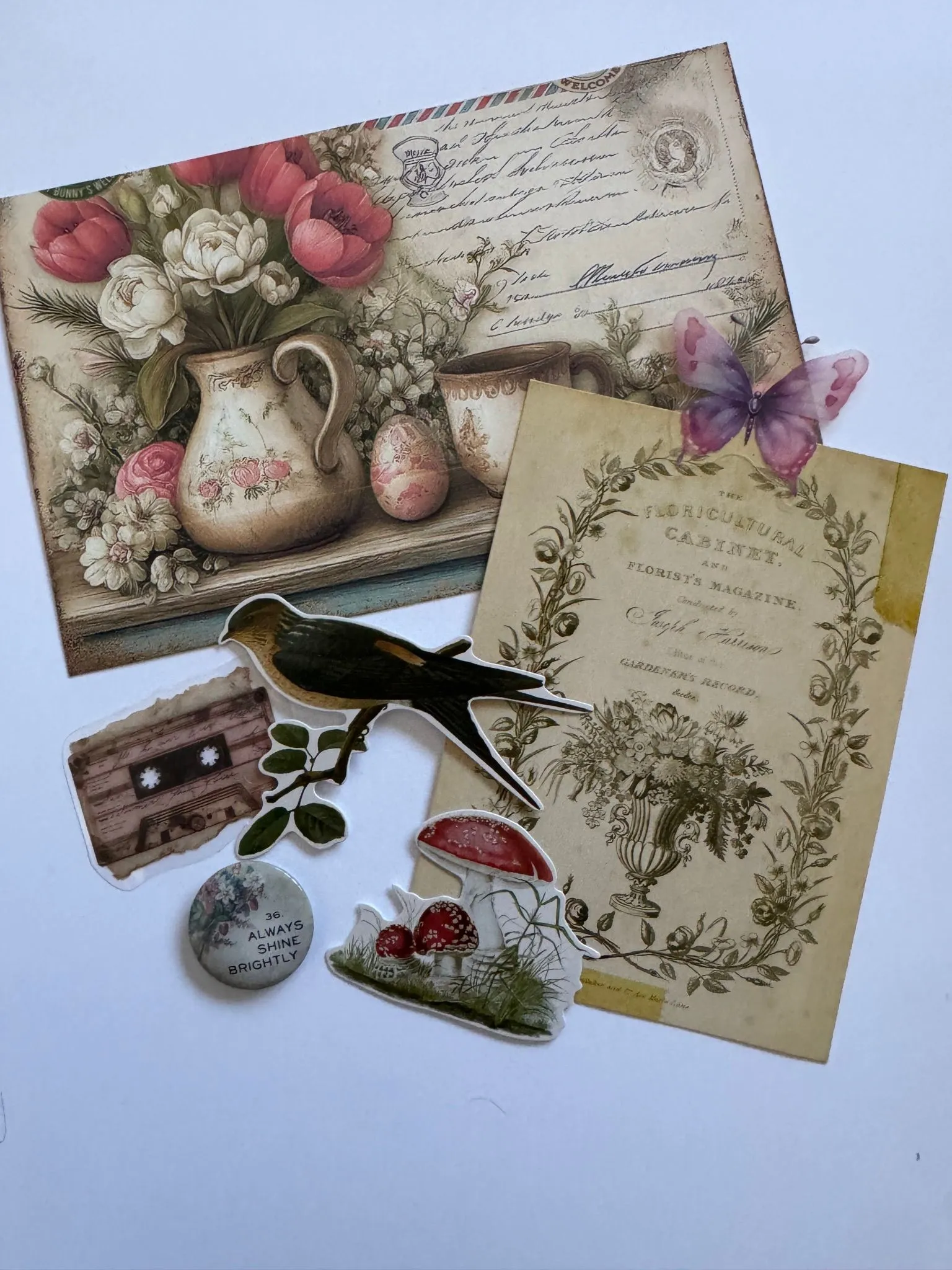3ea6c3ee-db6b-4848-8ffa-b17c79875ac3
