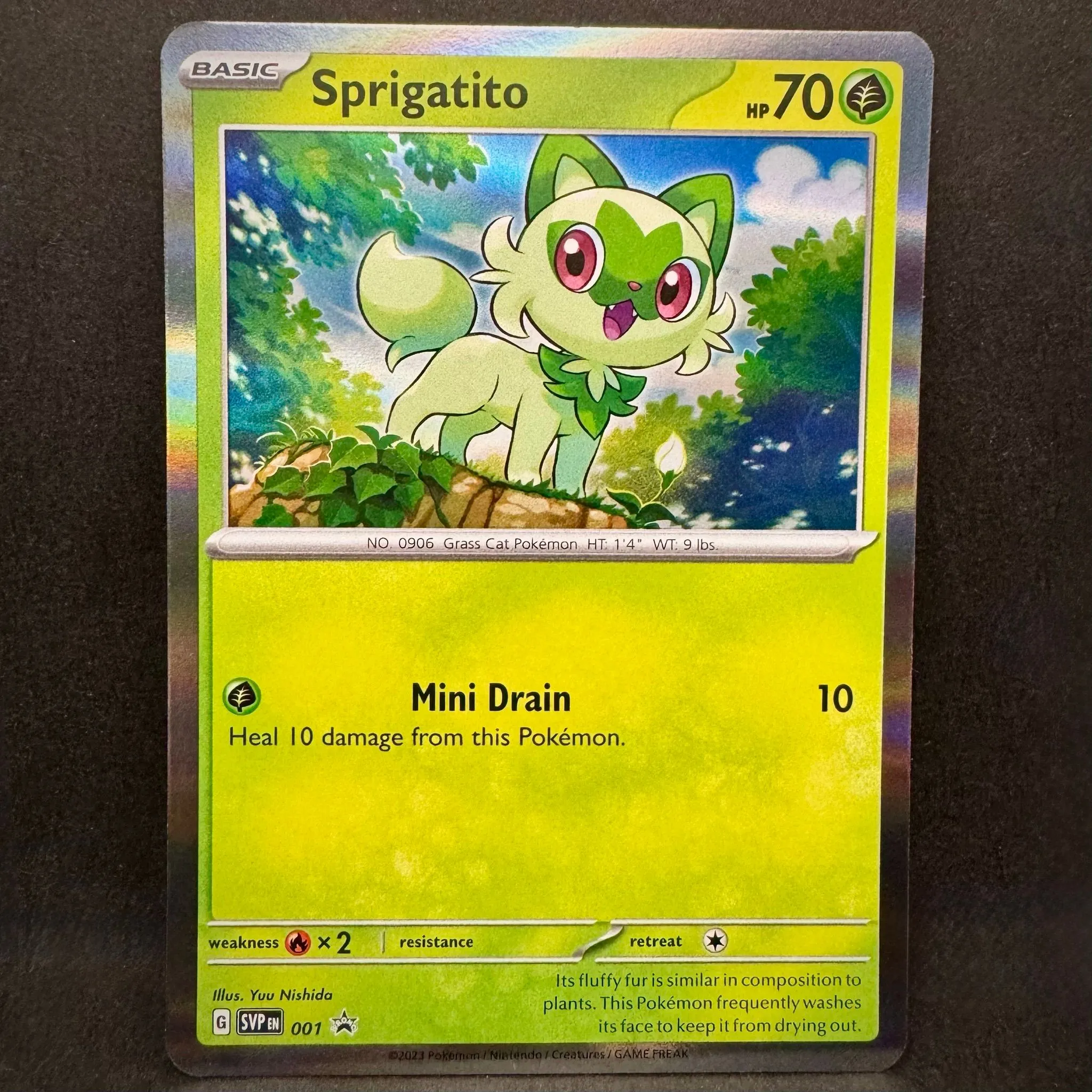 Sprigatito #001 Pokmon TCG Raw Card ENG NM 2023 SV Promo Holo Rare   Whatnot: Shop, Sell, Connect