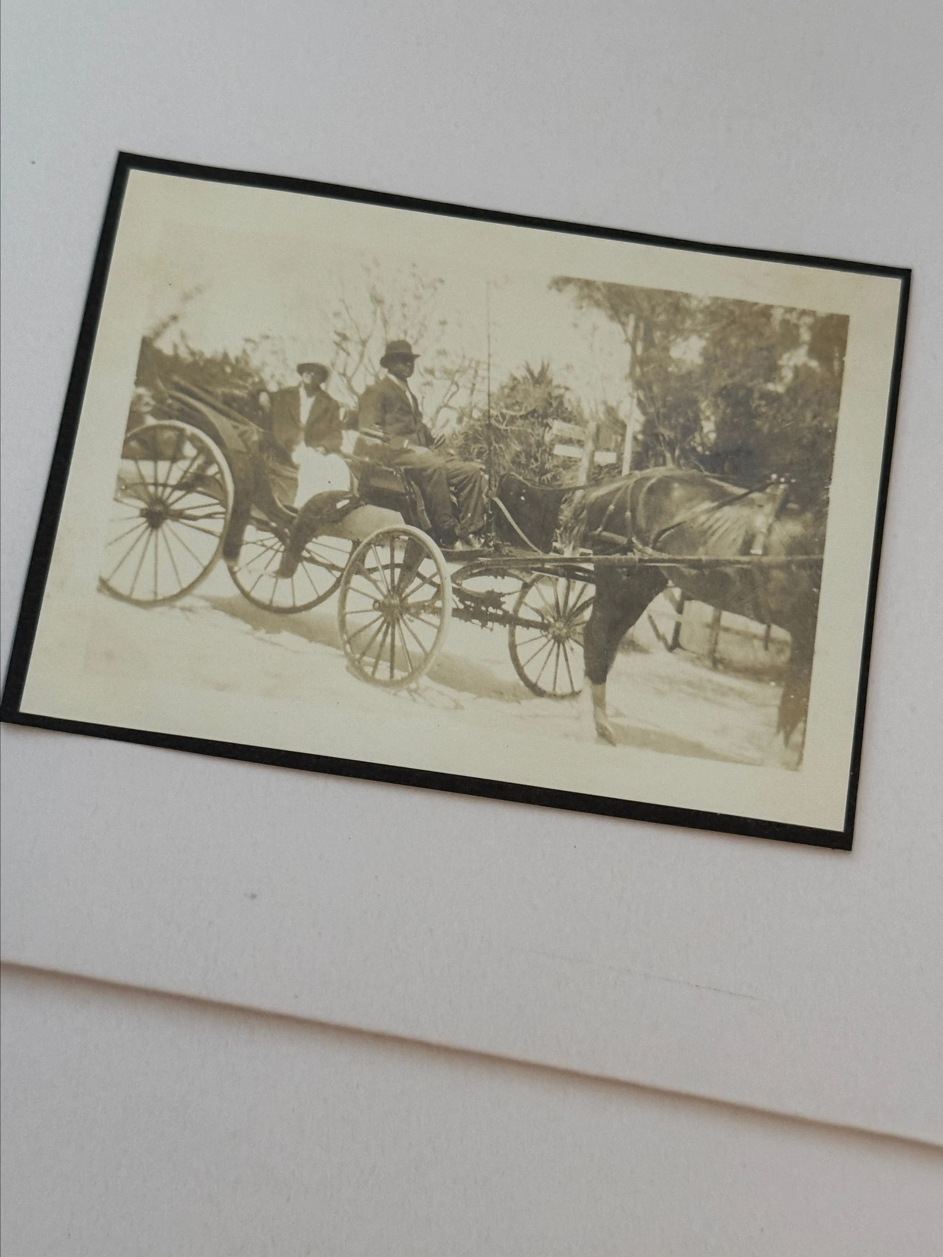 Product image for Horse & Buggy snap