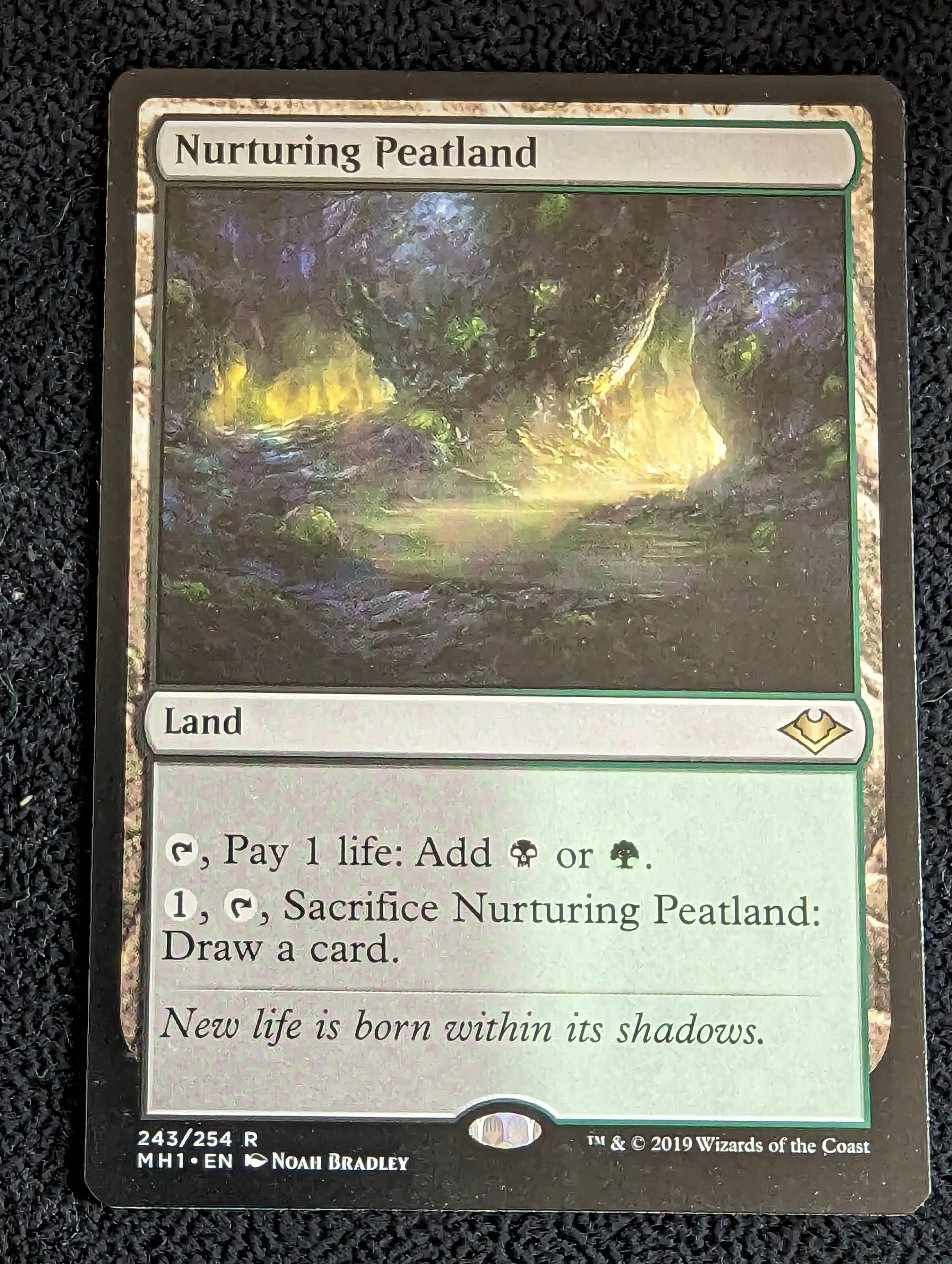 Product image for Nurturing Peatland (Near Mint)