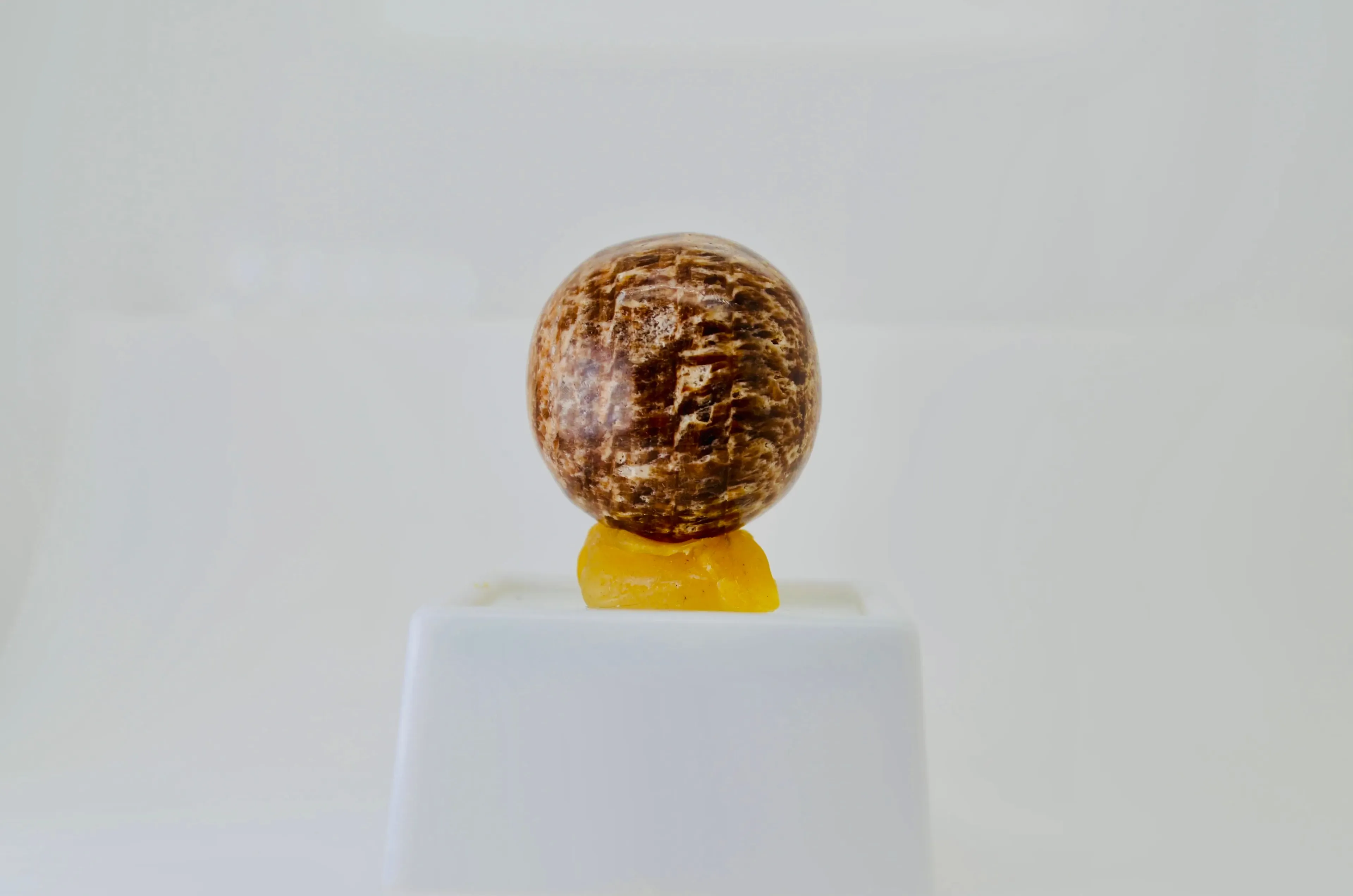 Product image for Striped Aragonite