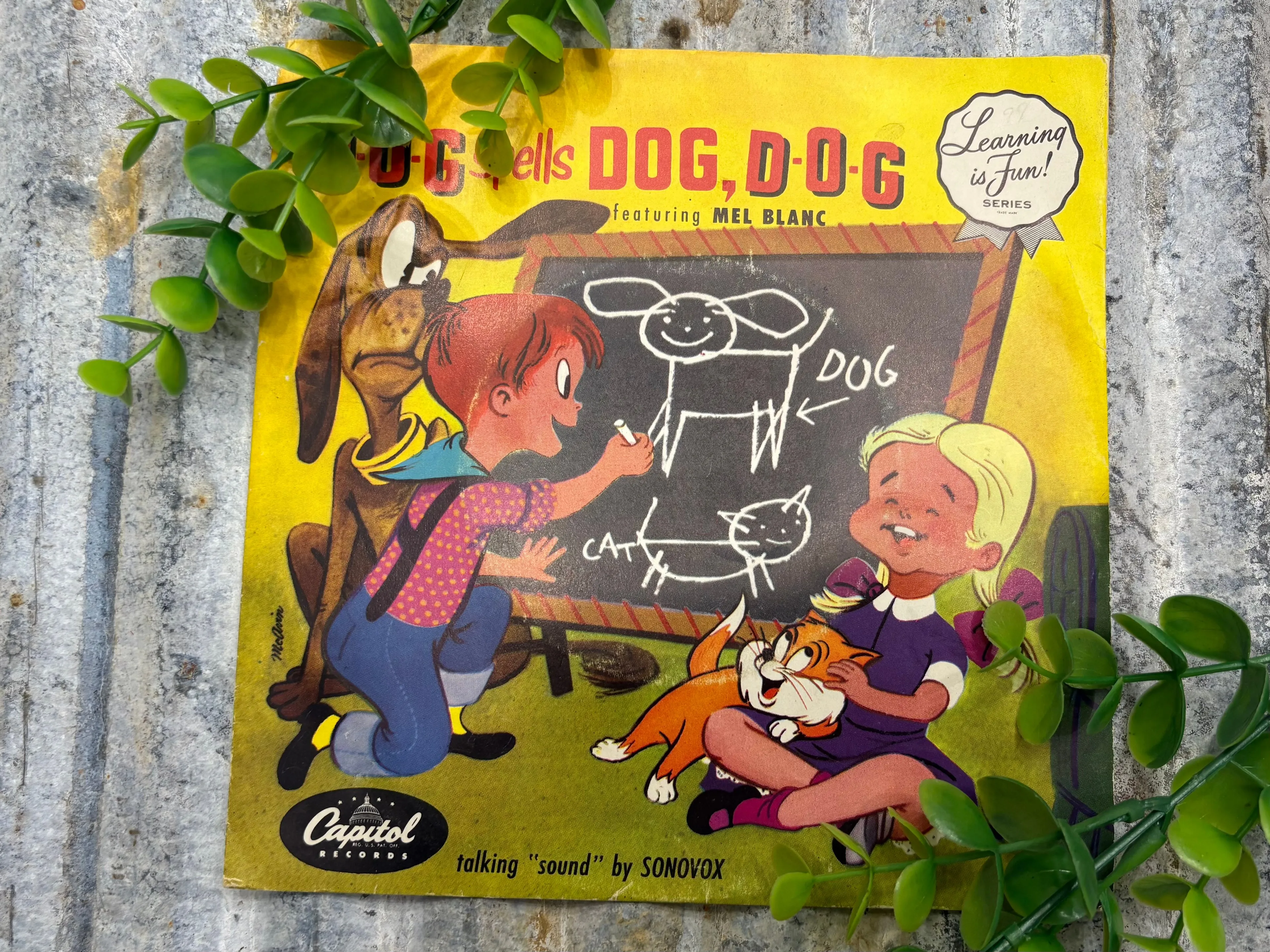 Product image for D O G spells dog