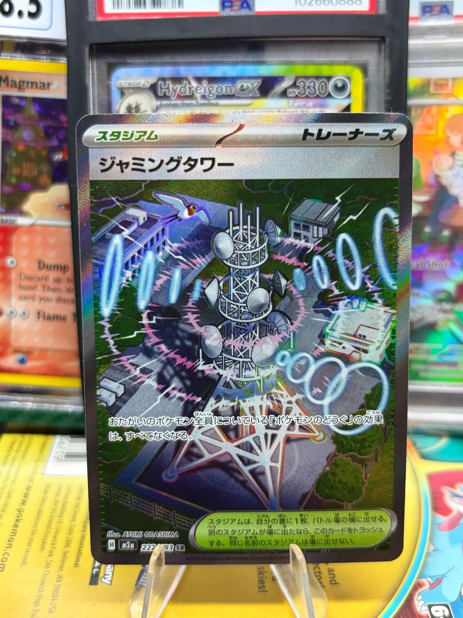 425fbb51-e56d-4435-a2ca-c9981a8ba5da