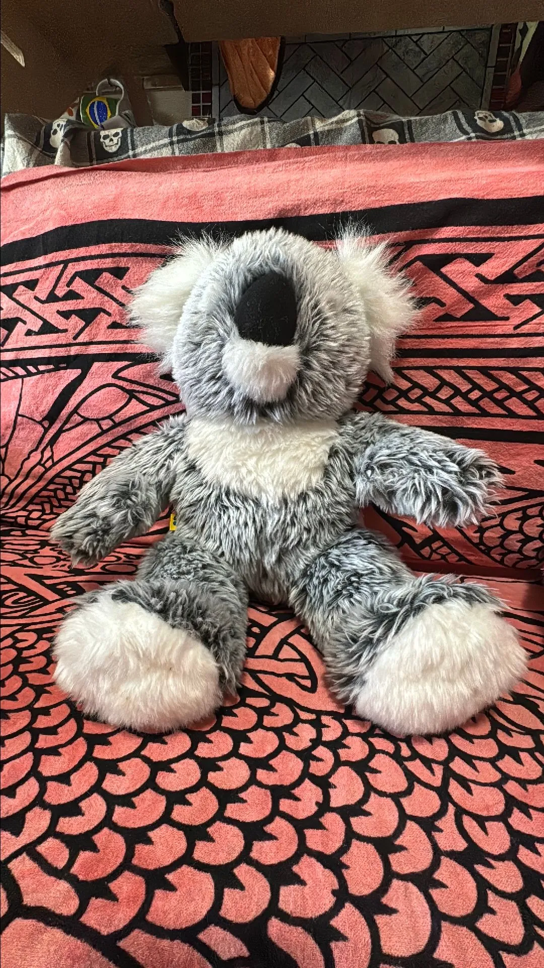 Product image for Frost tip Koala