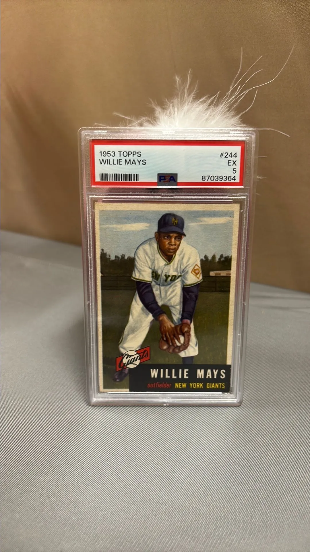 Product image for 1953 Topps Willie Mays 244  PSA EX 5